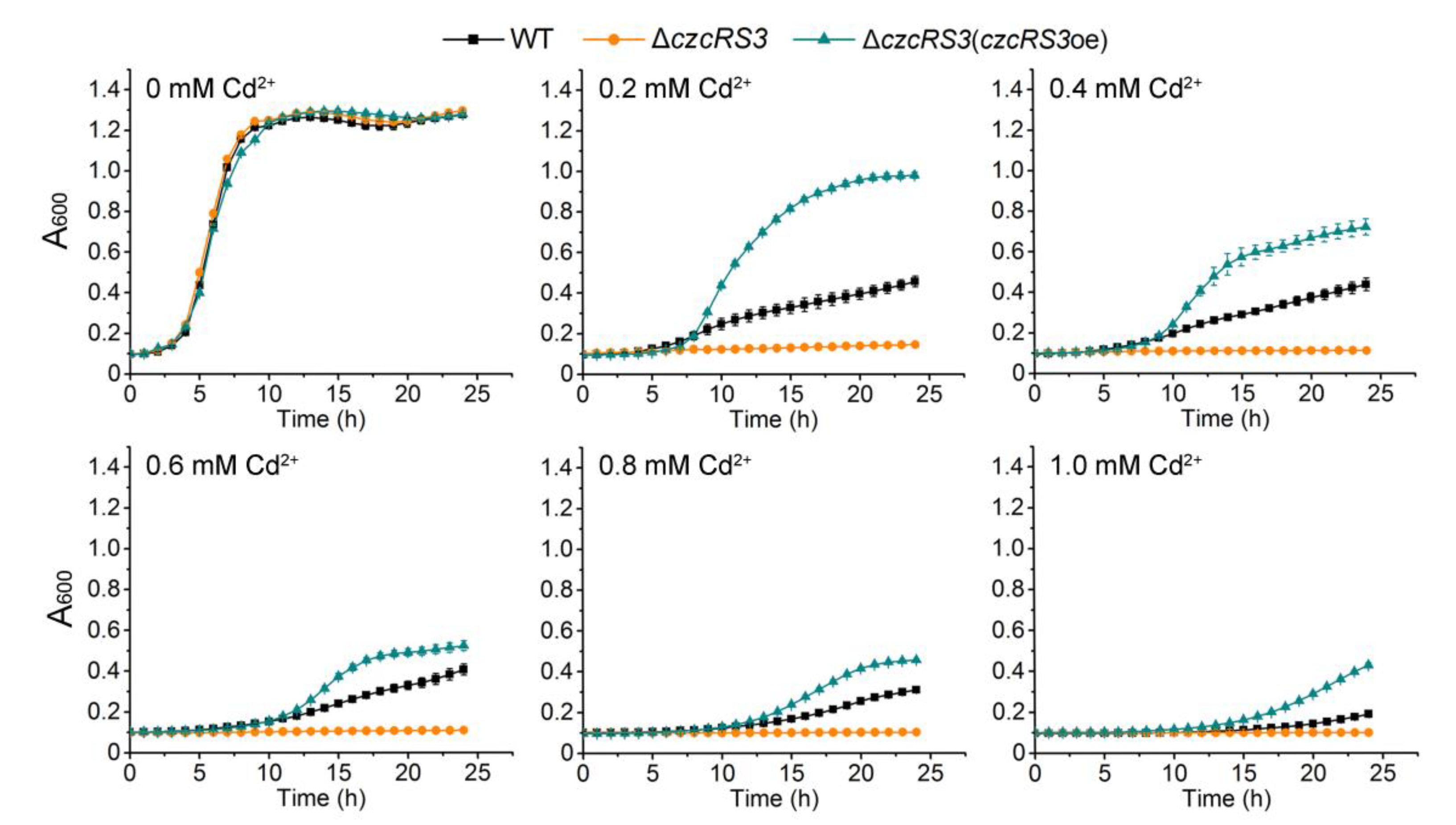 Ijms 22 09697 g001 Ijms 22 09697 g001