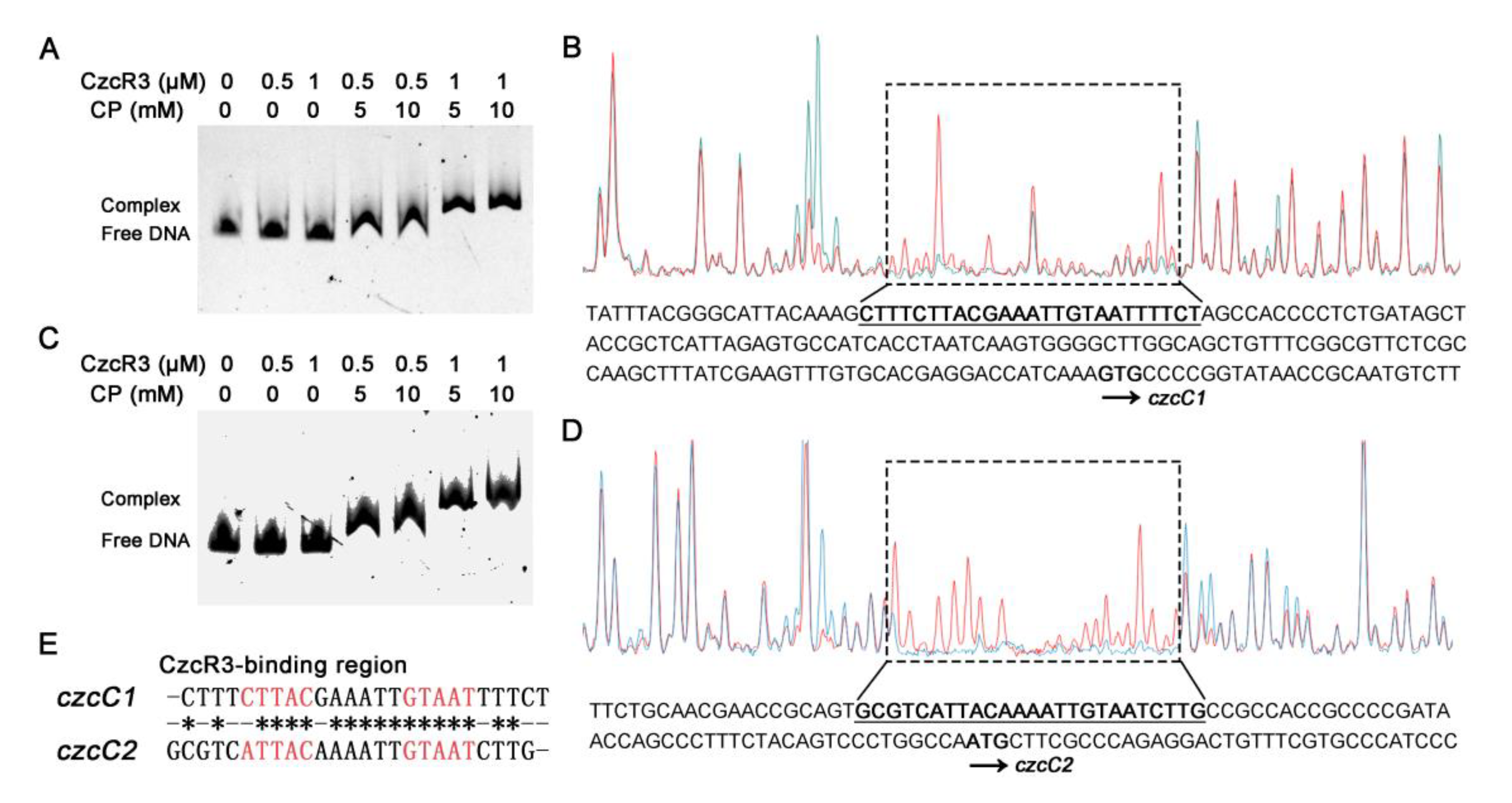 Ijms 22 09697 g003 Ijms 22 09697 g003