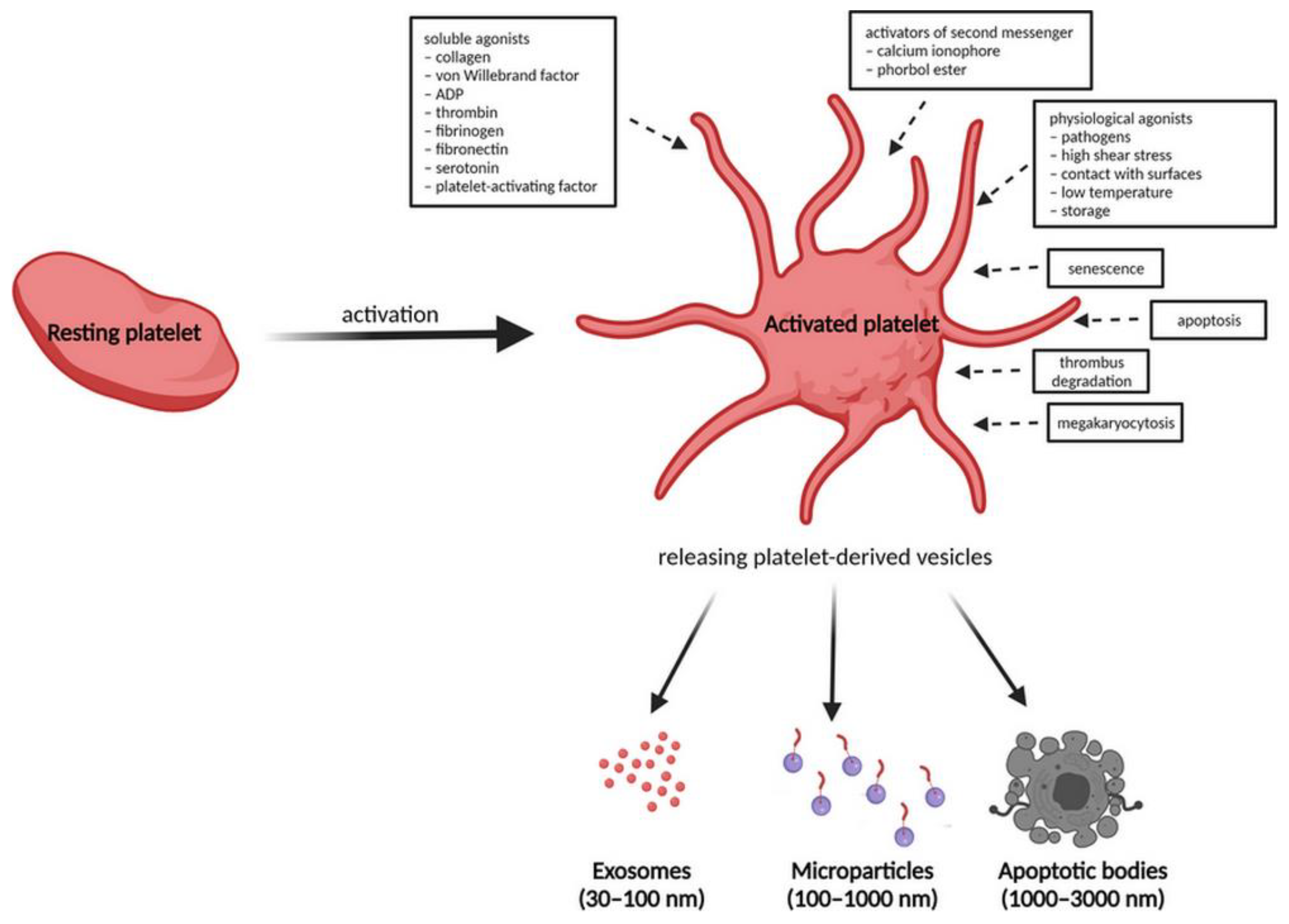 Ijms 22 09701 g002 550