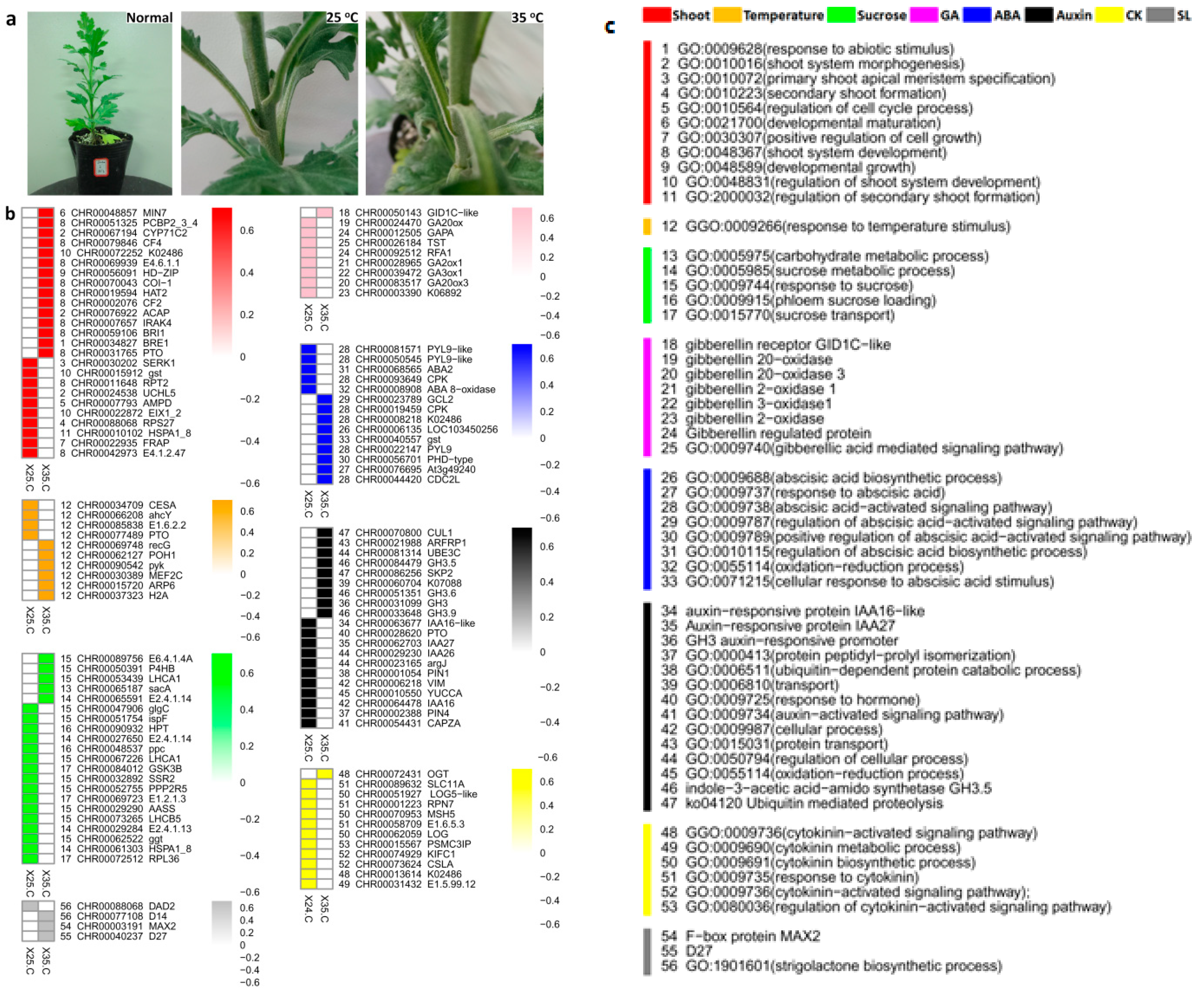 Ijms 22 09704 g002 Ijms 22 09704 g002