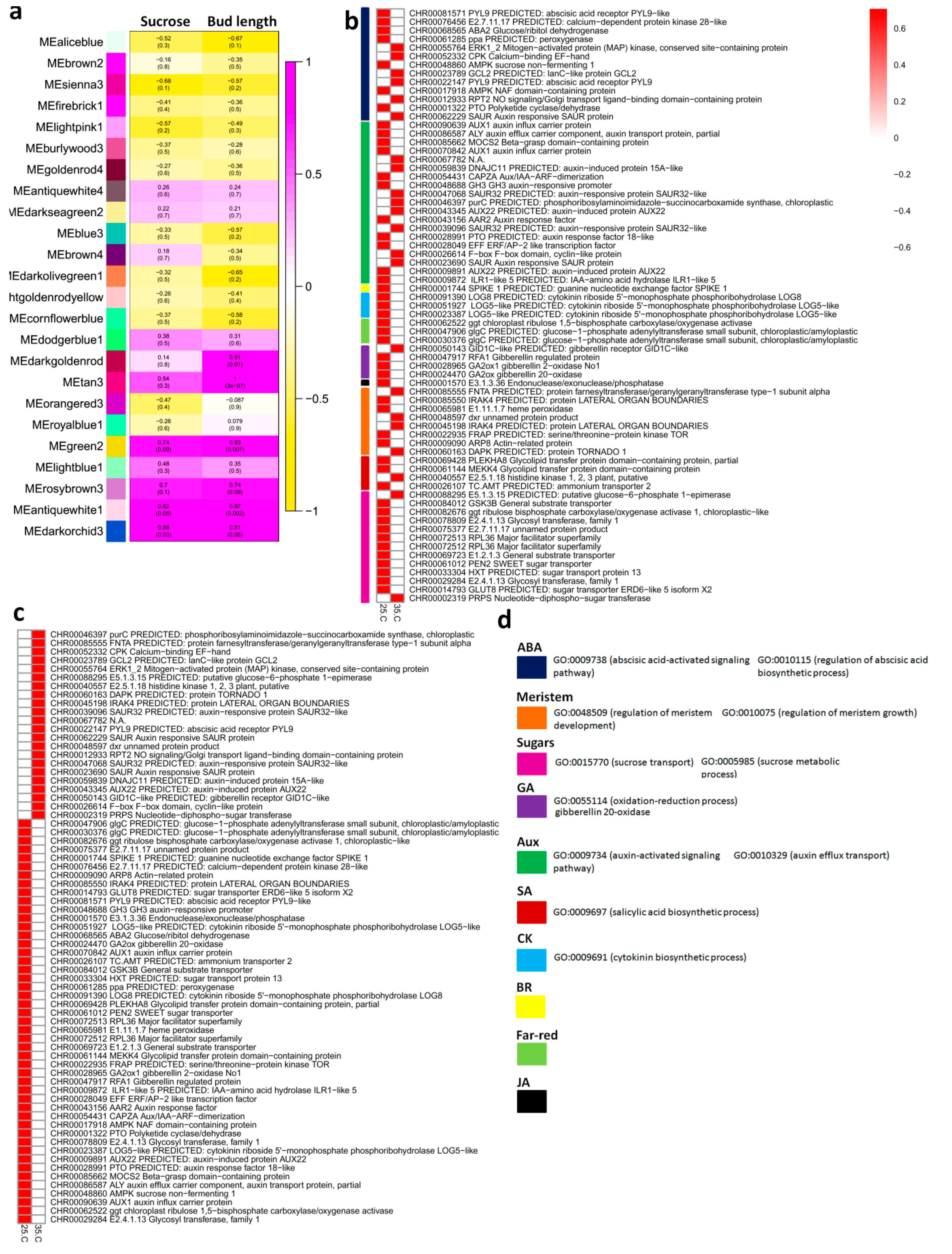 Ijms 22 09704 g003 Ijms 22 09704 g003