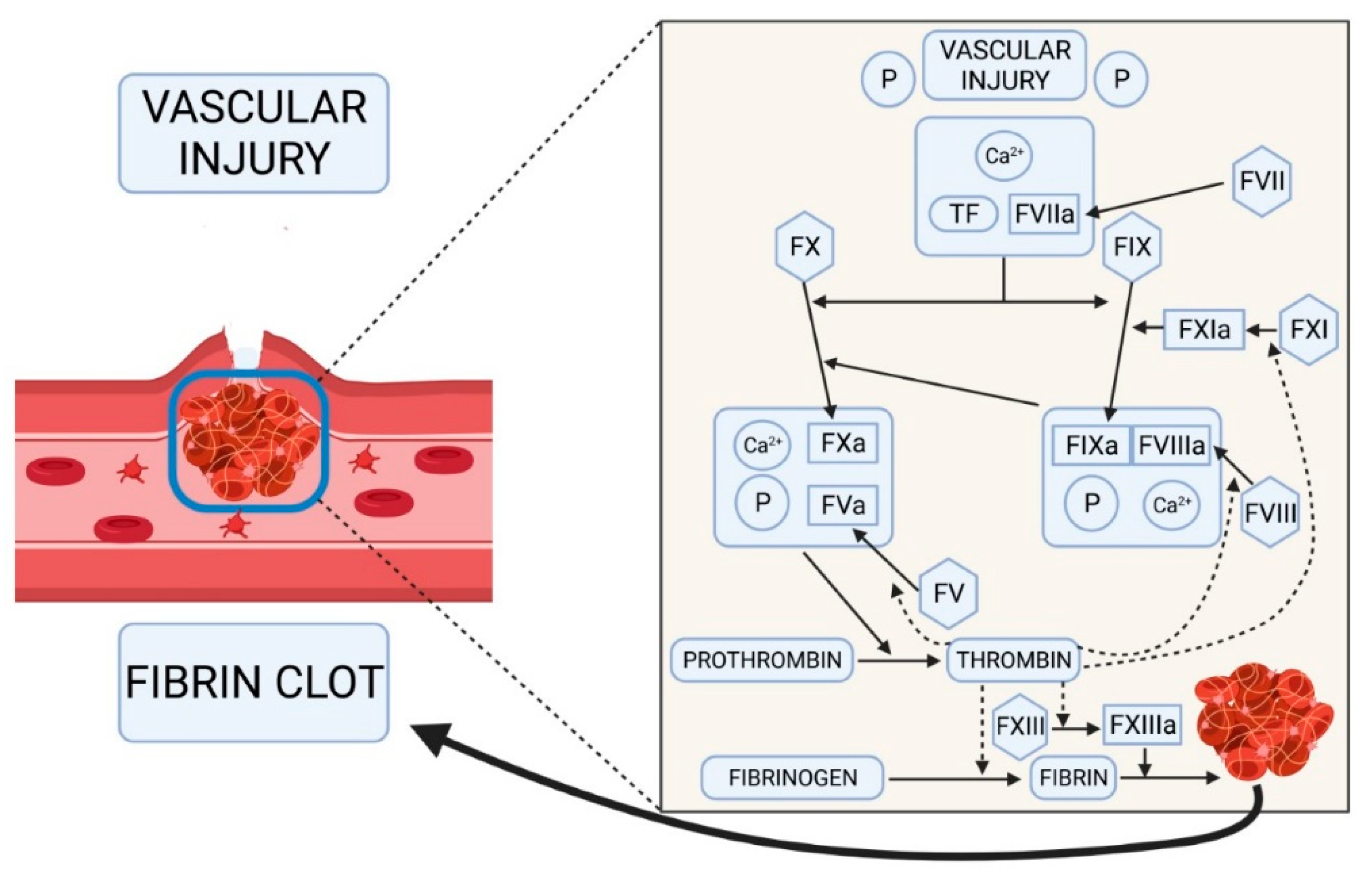 low hematocrit and hemoglobin and jp drain low hematocrit and hemoglobin and jp drain