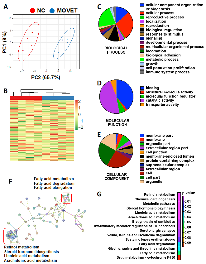 Ijms 22 09716 g002 550