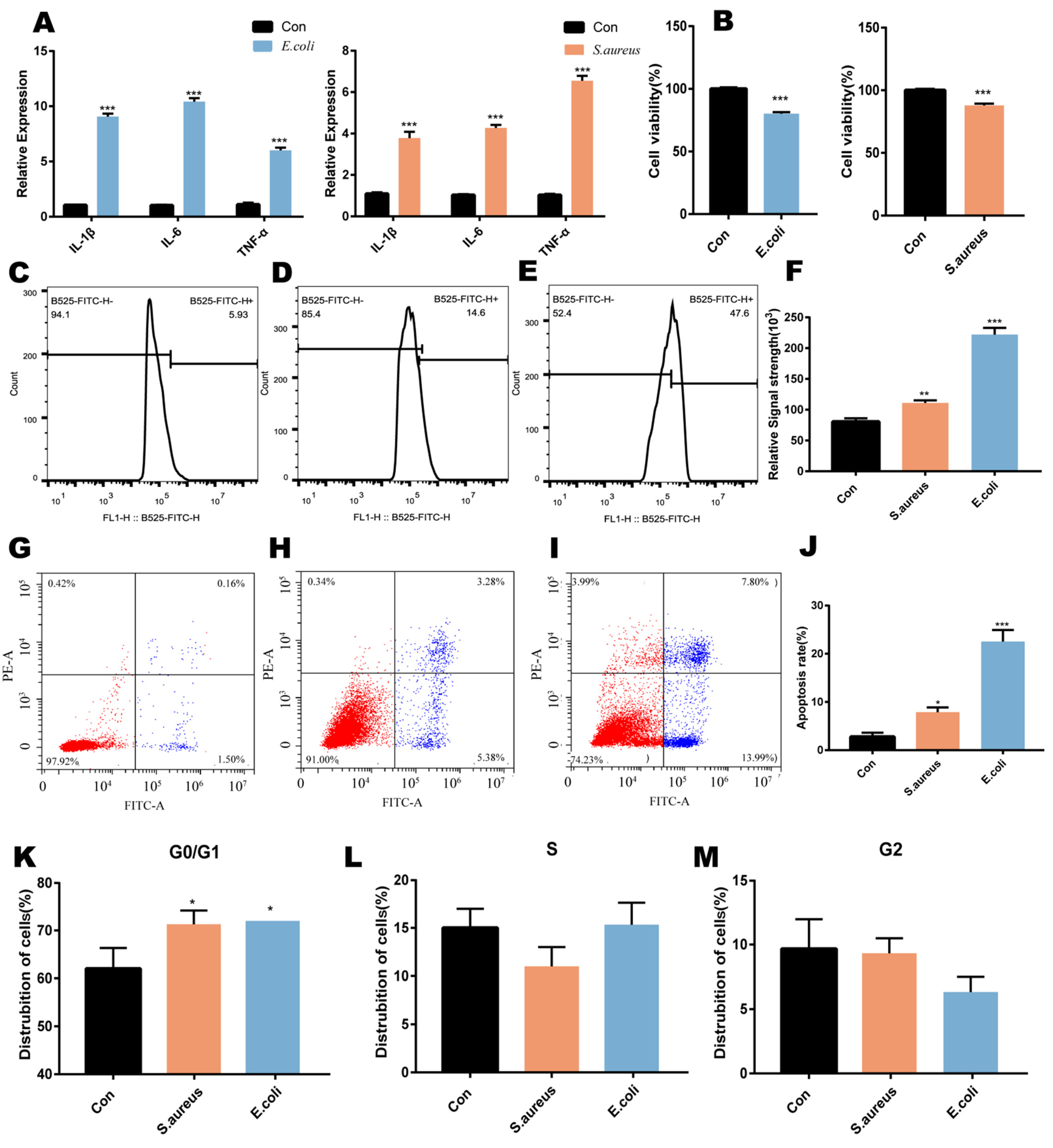 Genome-Wide Analysis of LncRNA in Bovine Mammary Epithelial