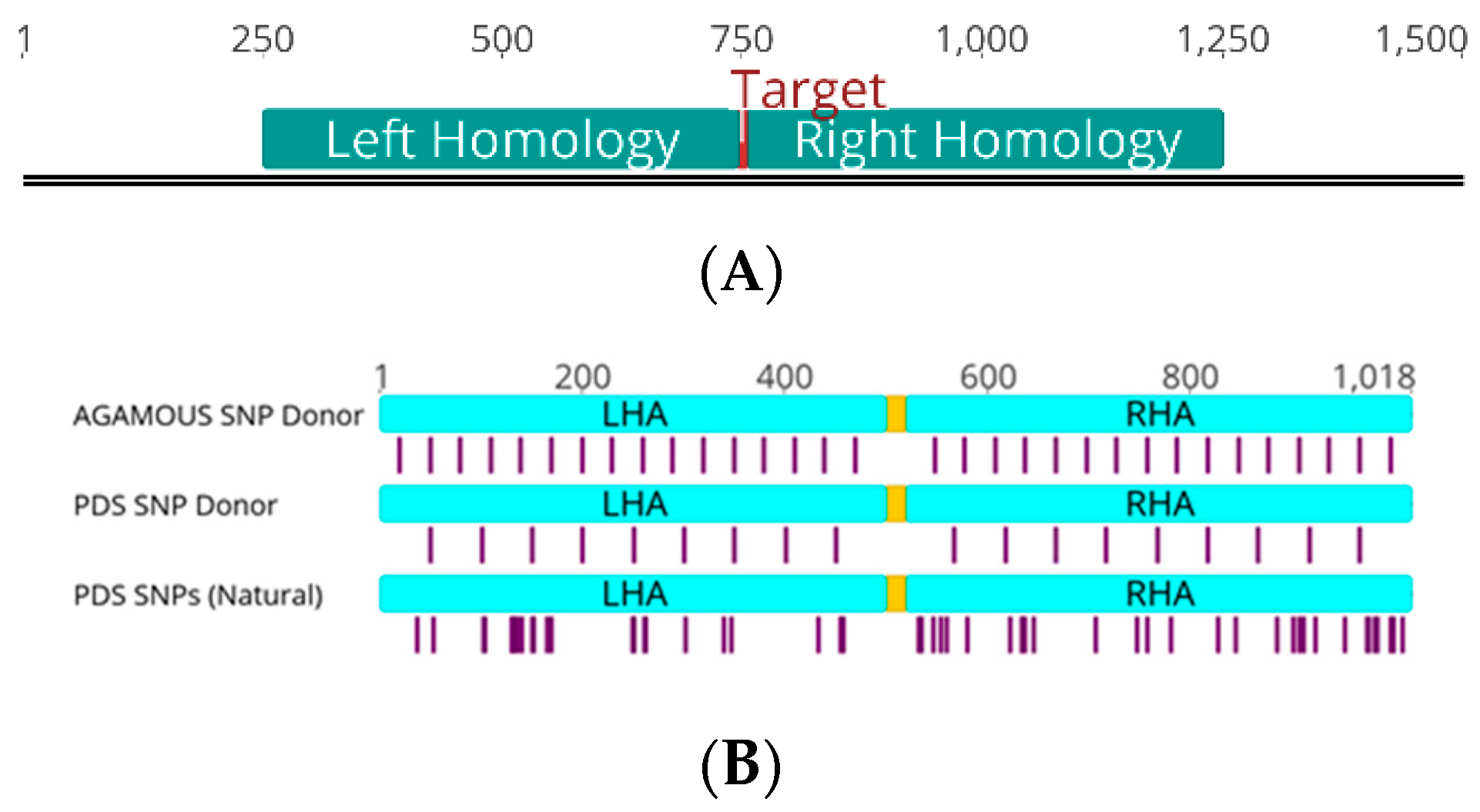 Ijms 22 09723 g001 550