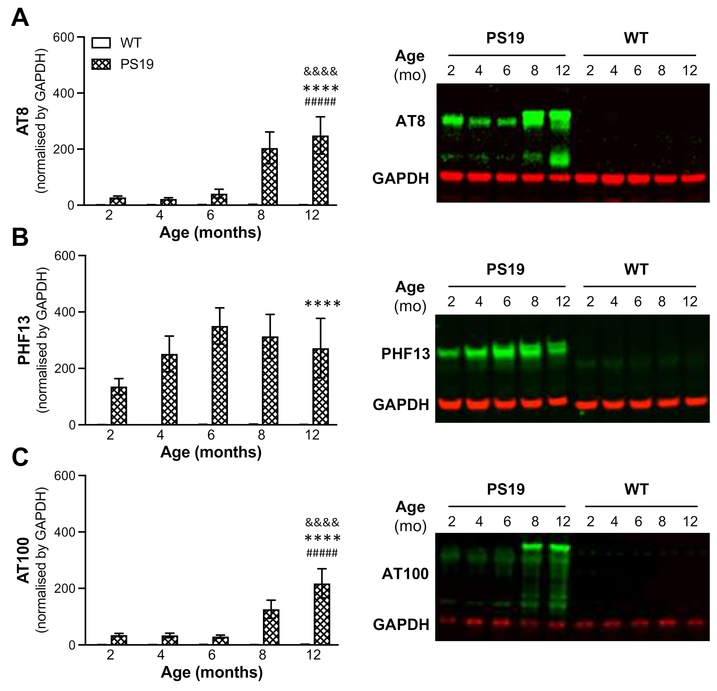 Ijms 22 09727 g007 550