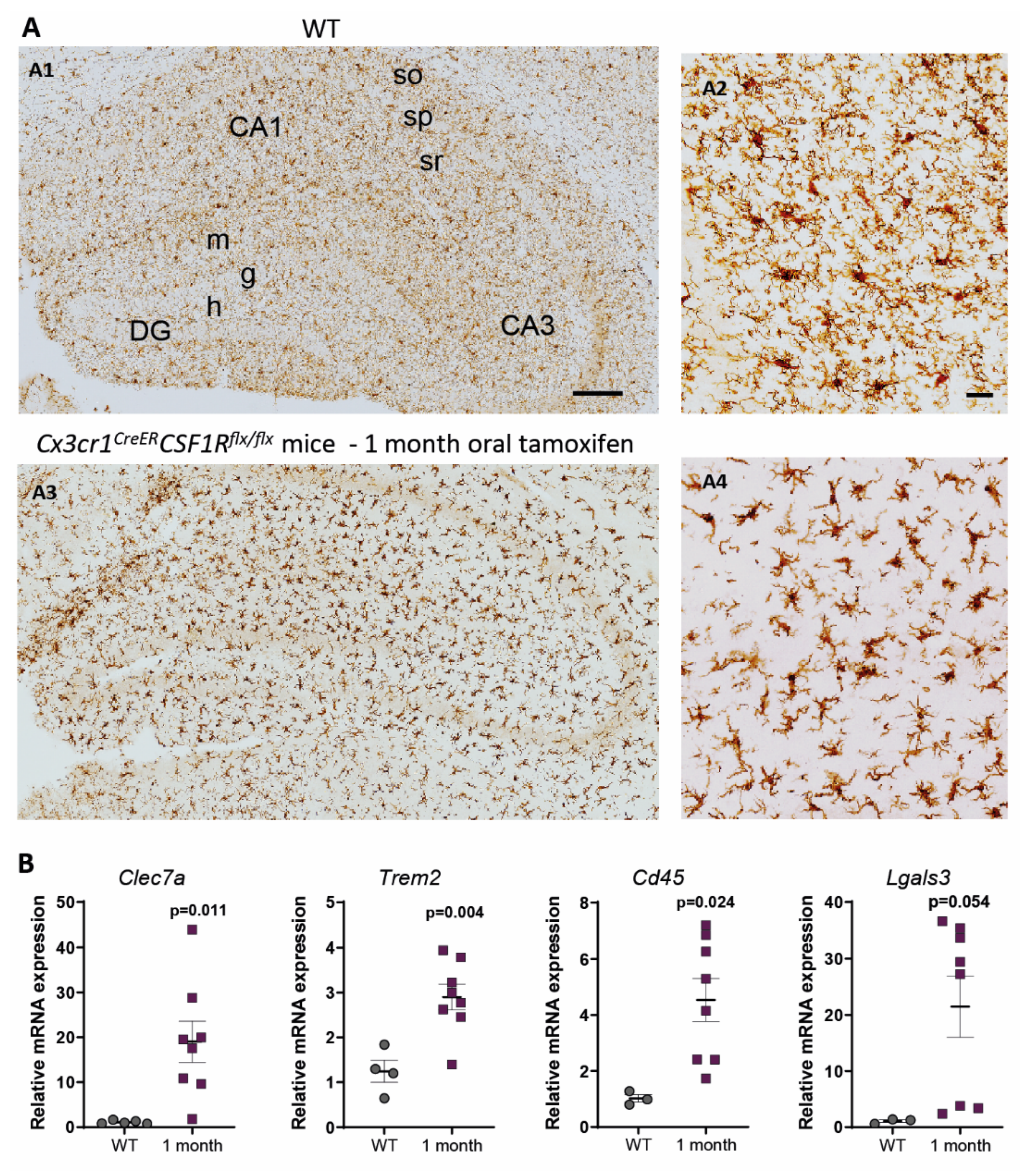 Ijms 22 09734 g003 550