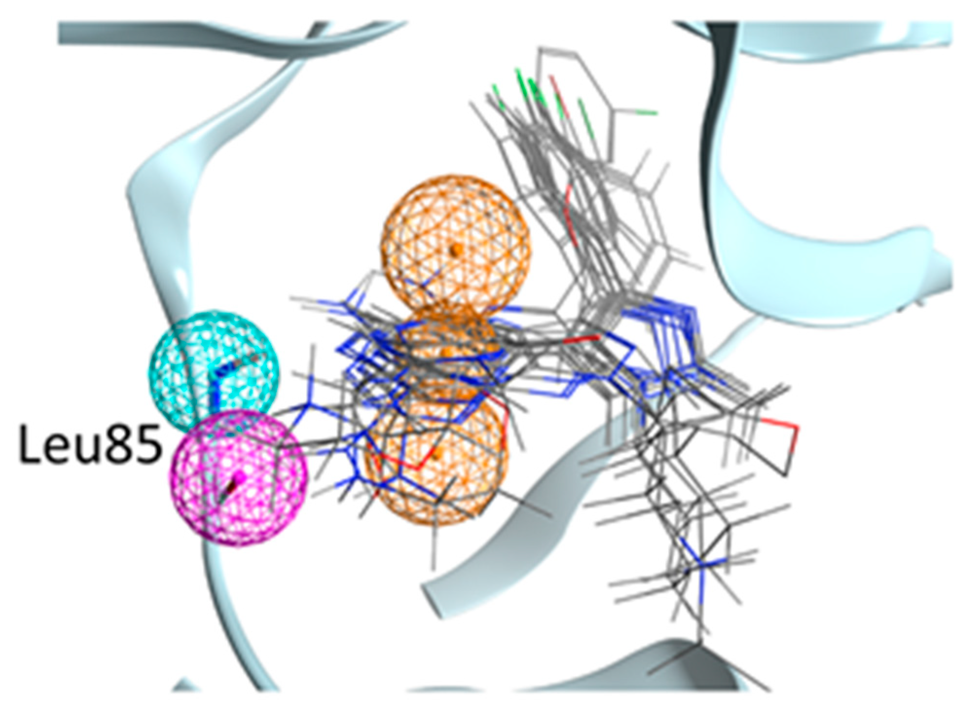 Ijms 22 09741 g002 Ijms 22 09741 g002