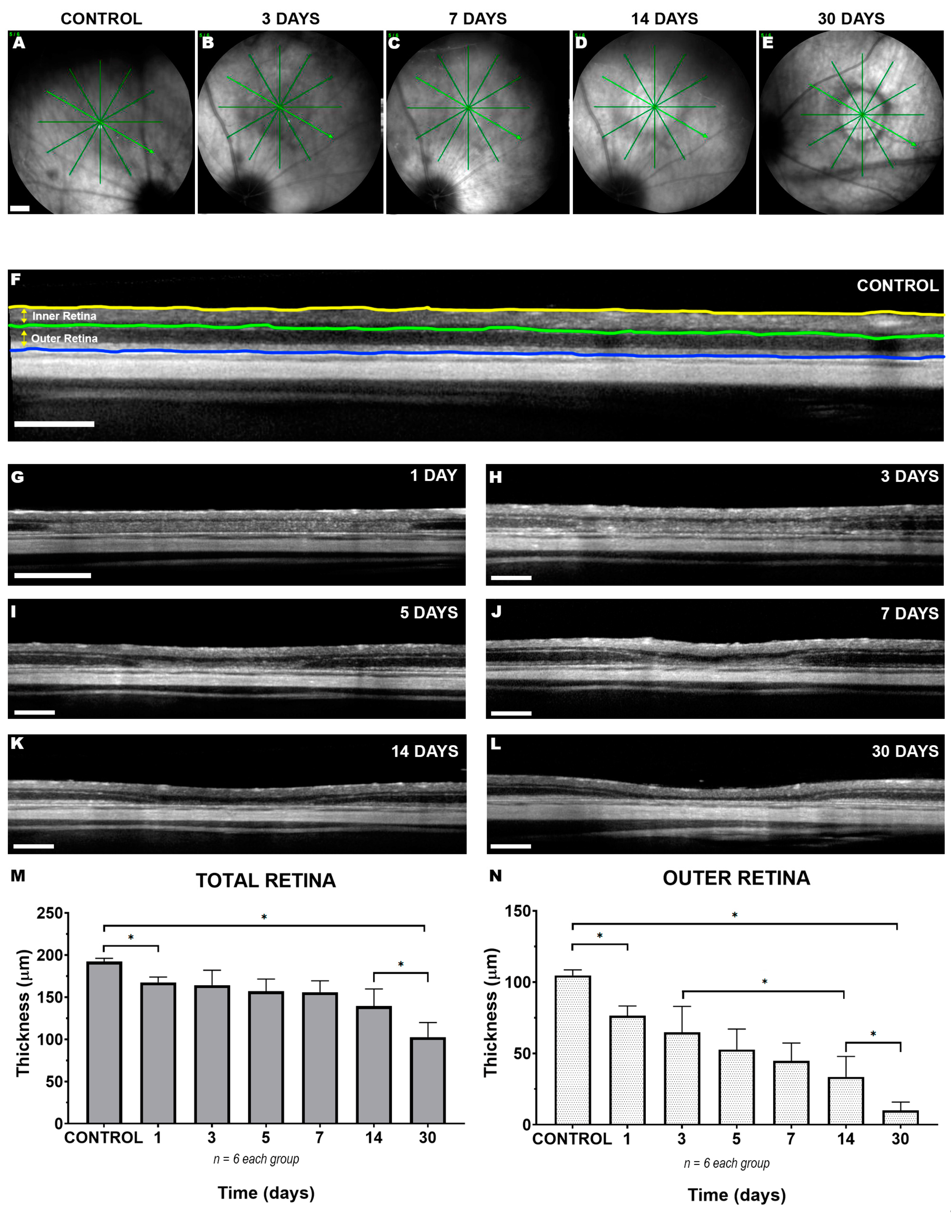 Ijms 22 09742 g001 550