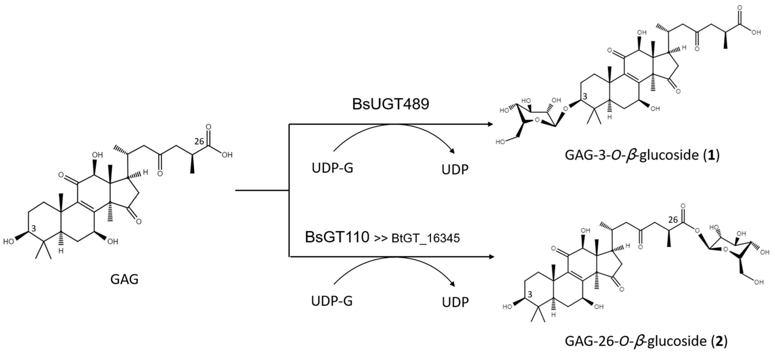 Ijms 22 09744 g004 550