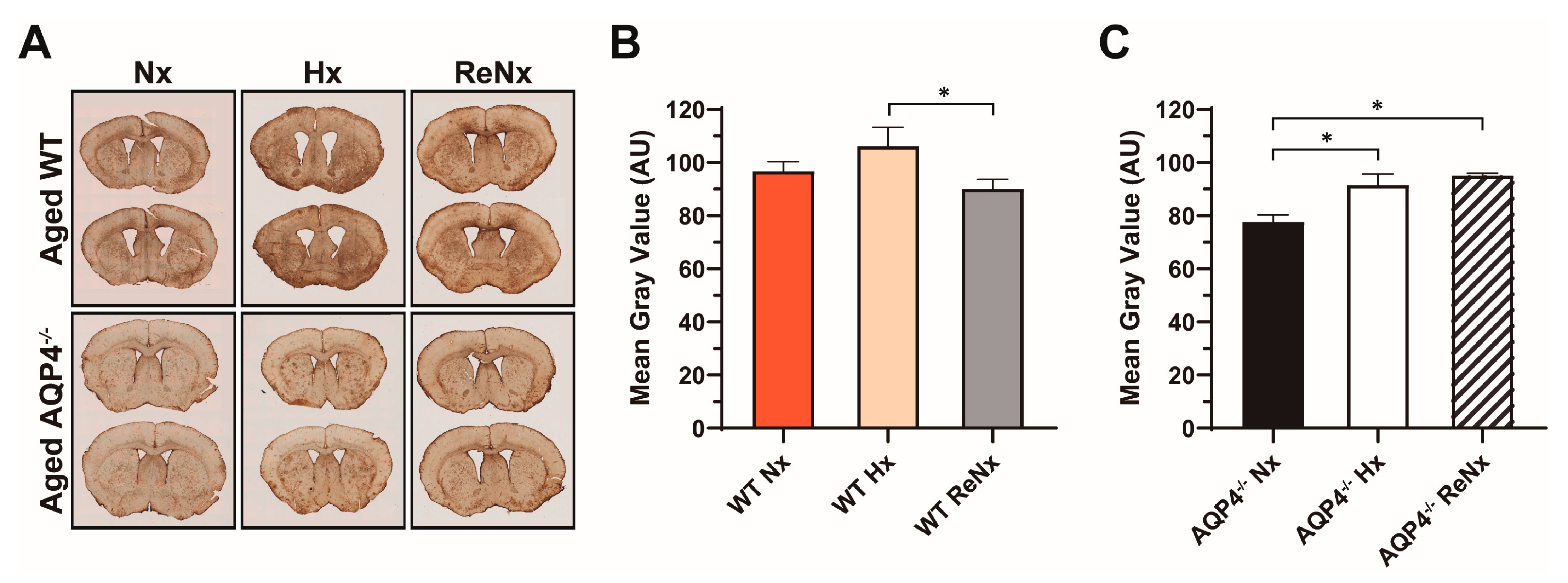 Ijms 22 09745 g005 550