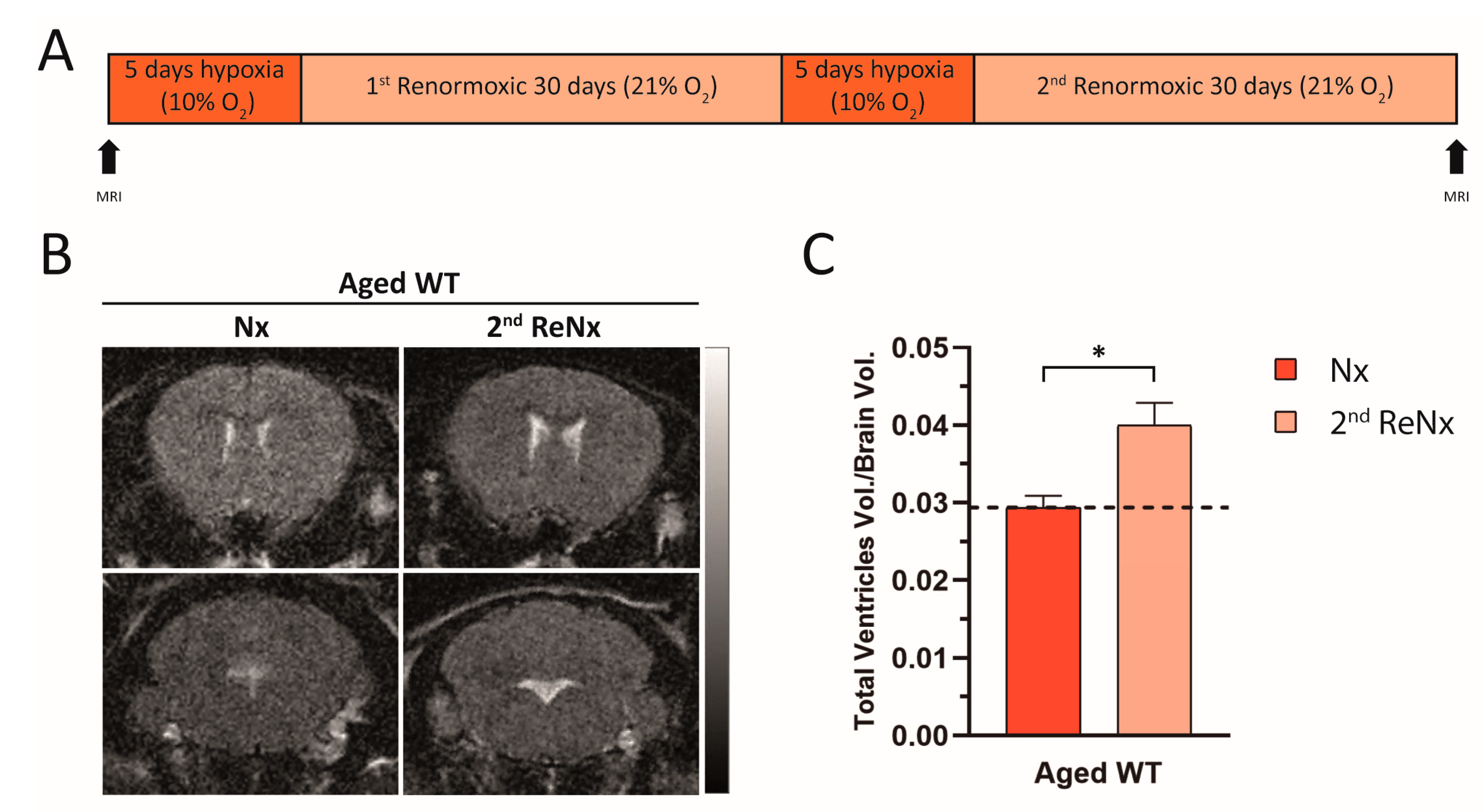 Ijms 22 09745 g006 550