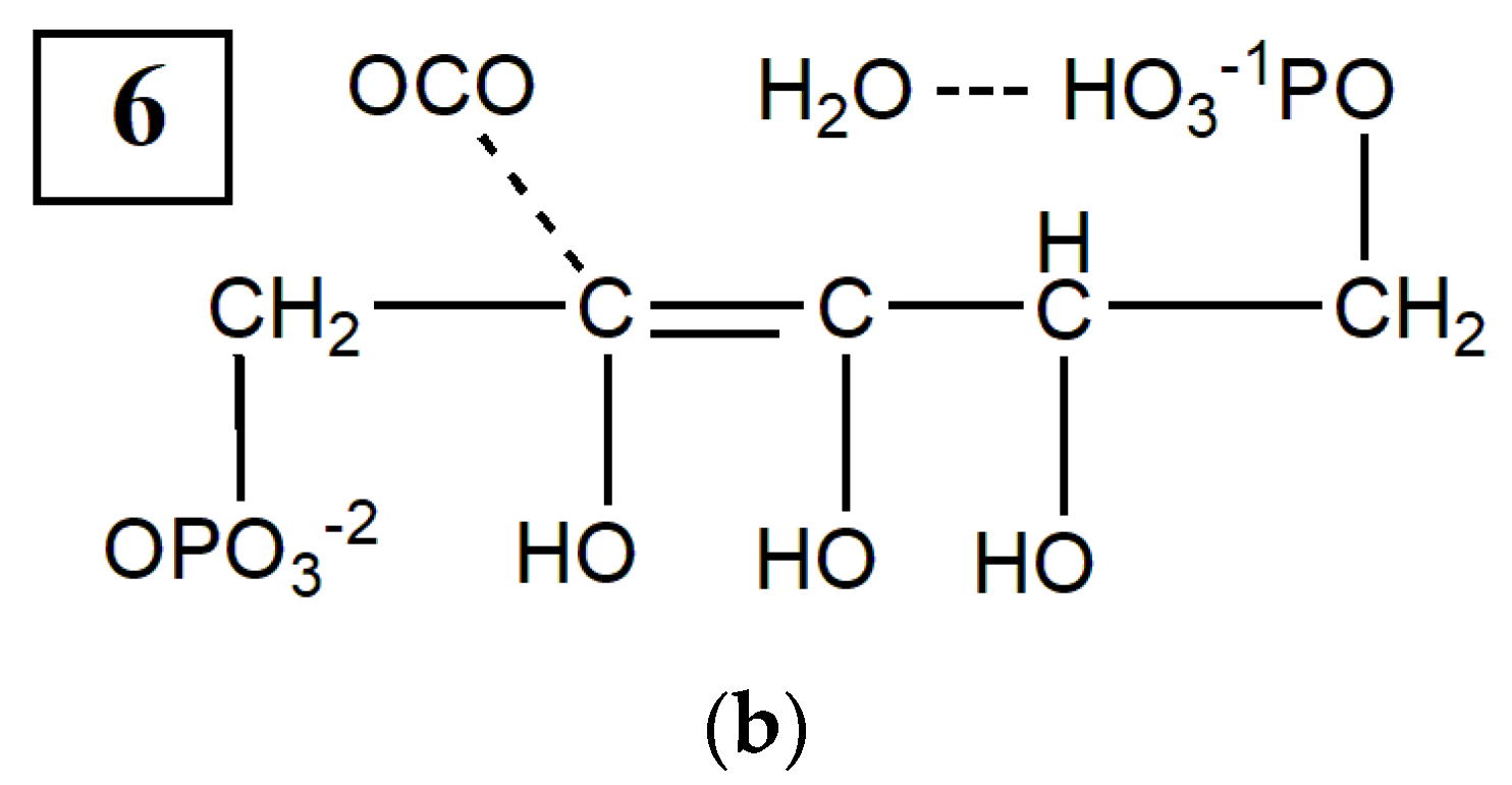 Ijms 22 09749 g0a13b