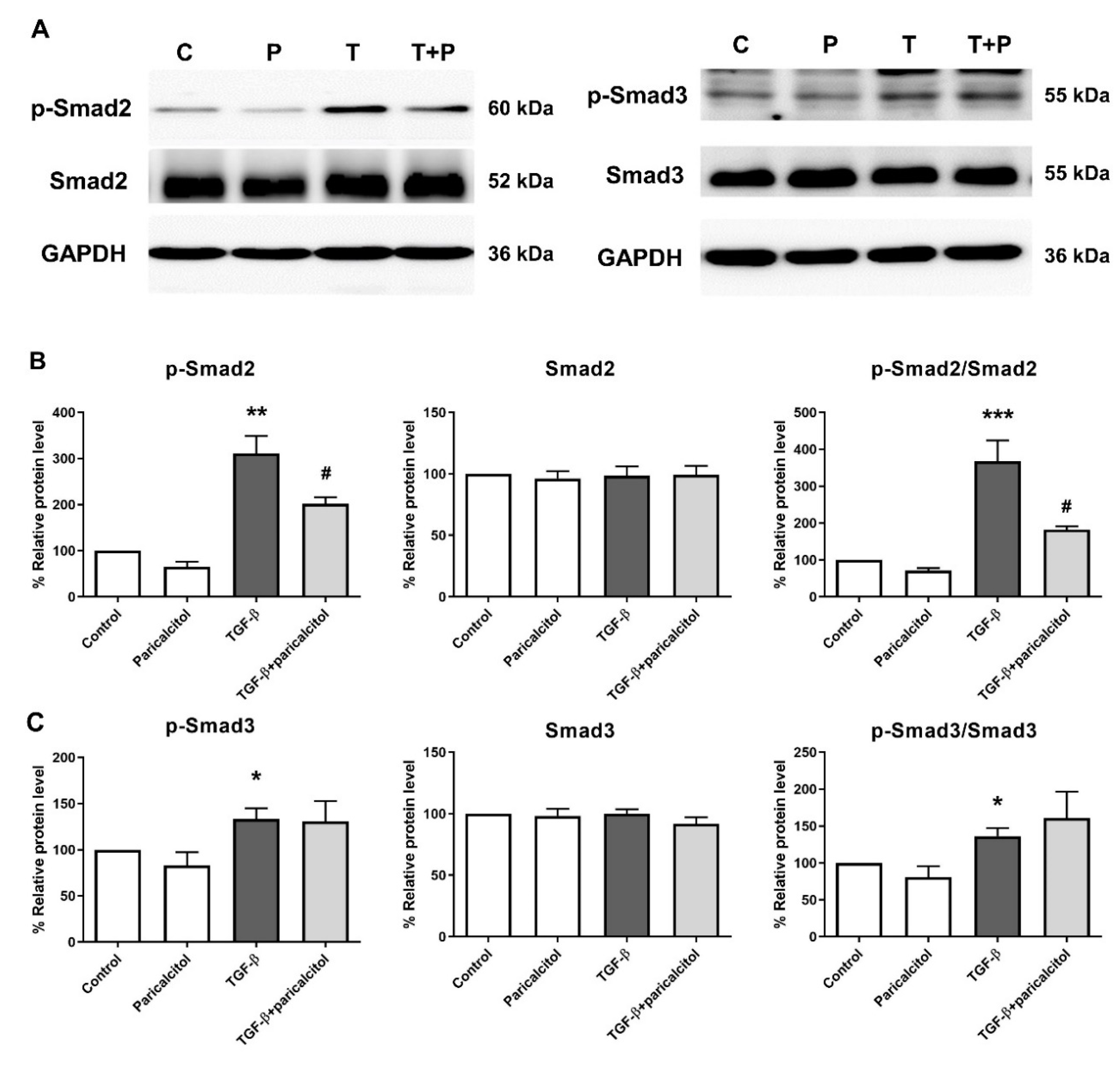 Ijms 22 09751 g002 550