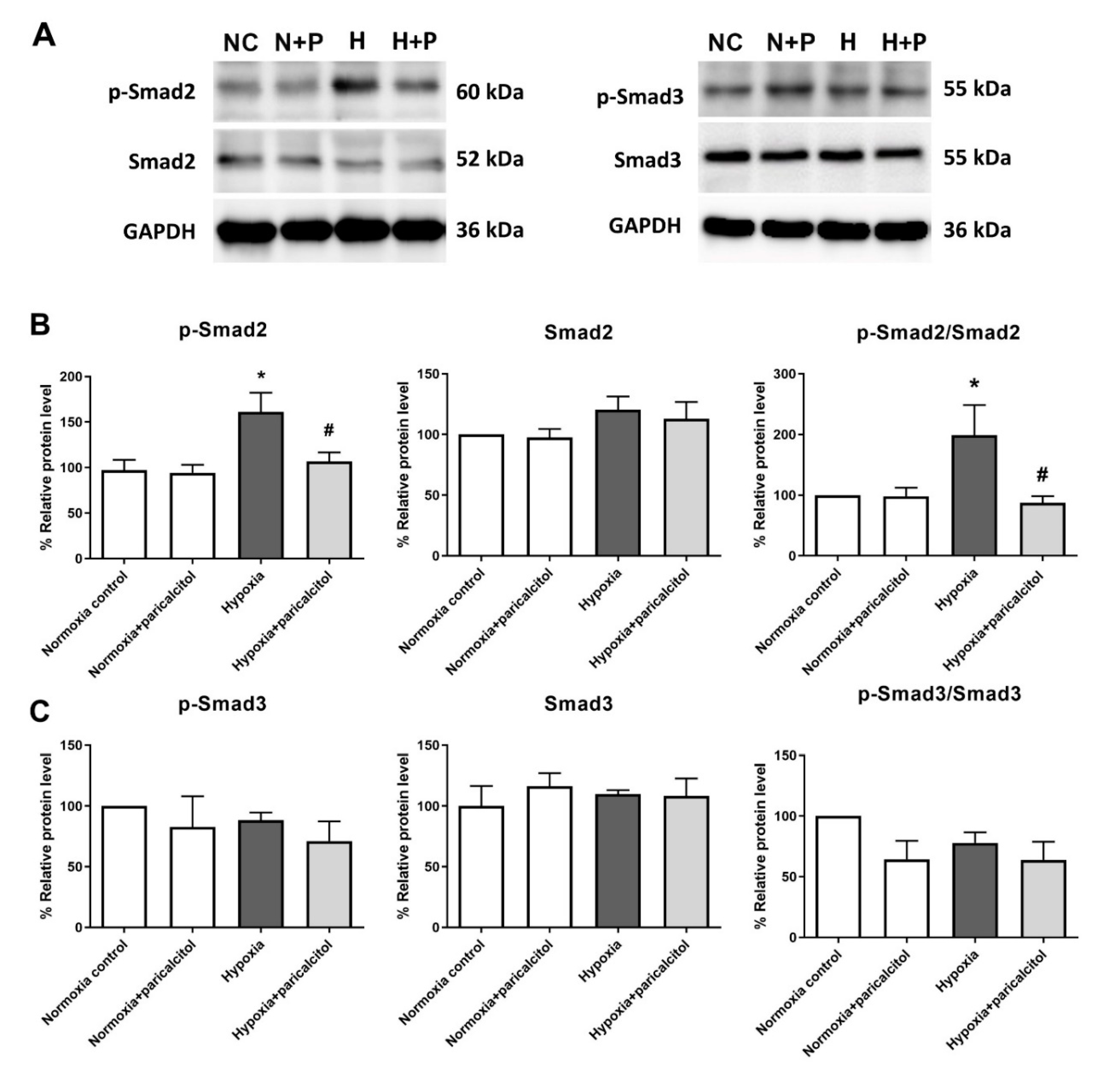 Ijms 22 09751 g005 550