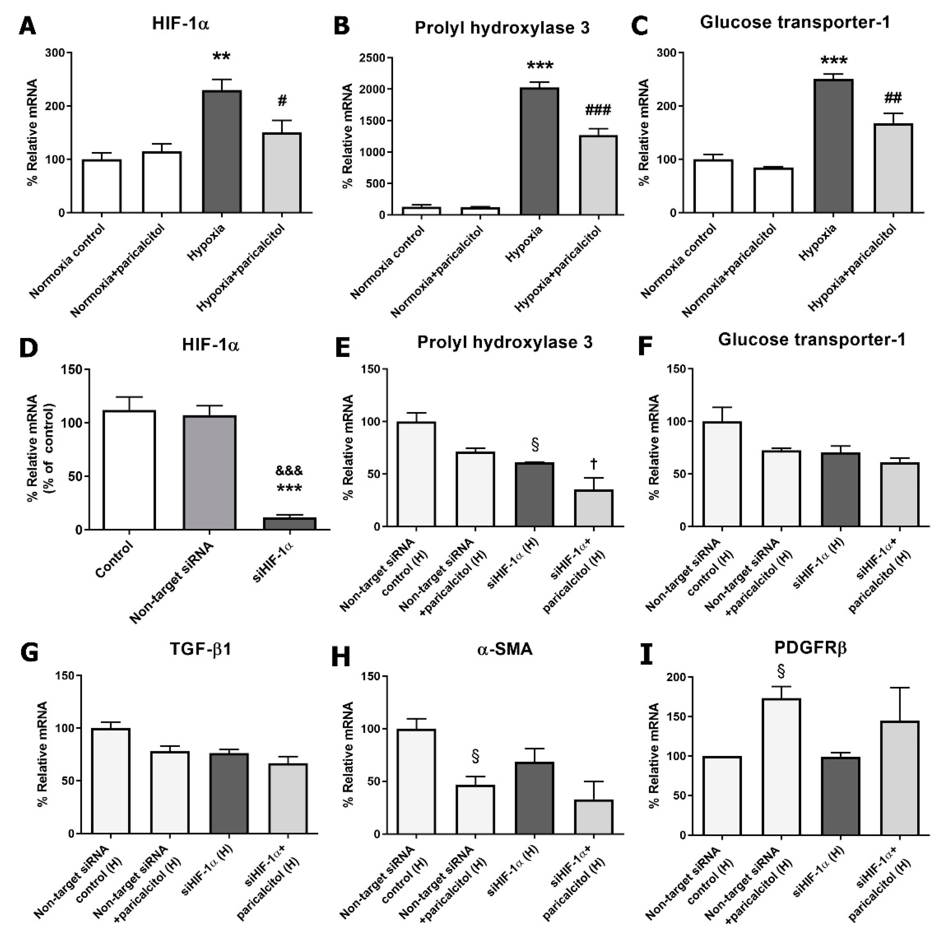 Ijms 22 09751 g006 550