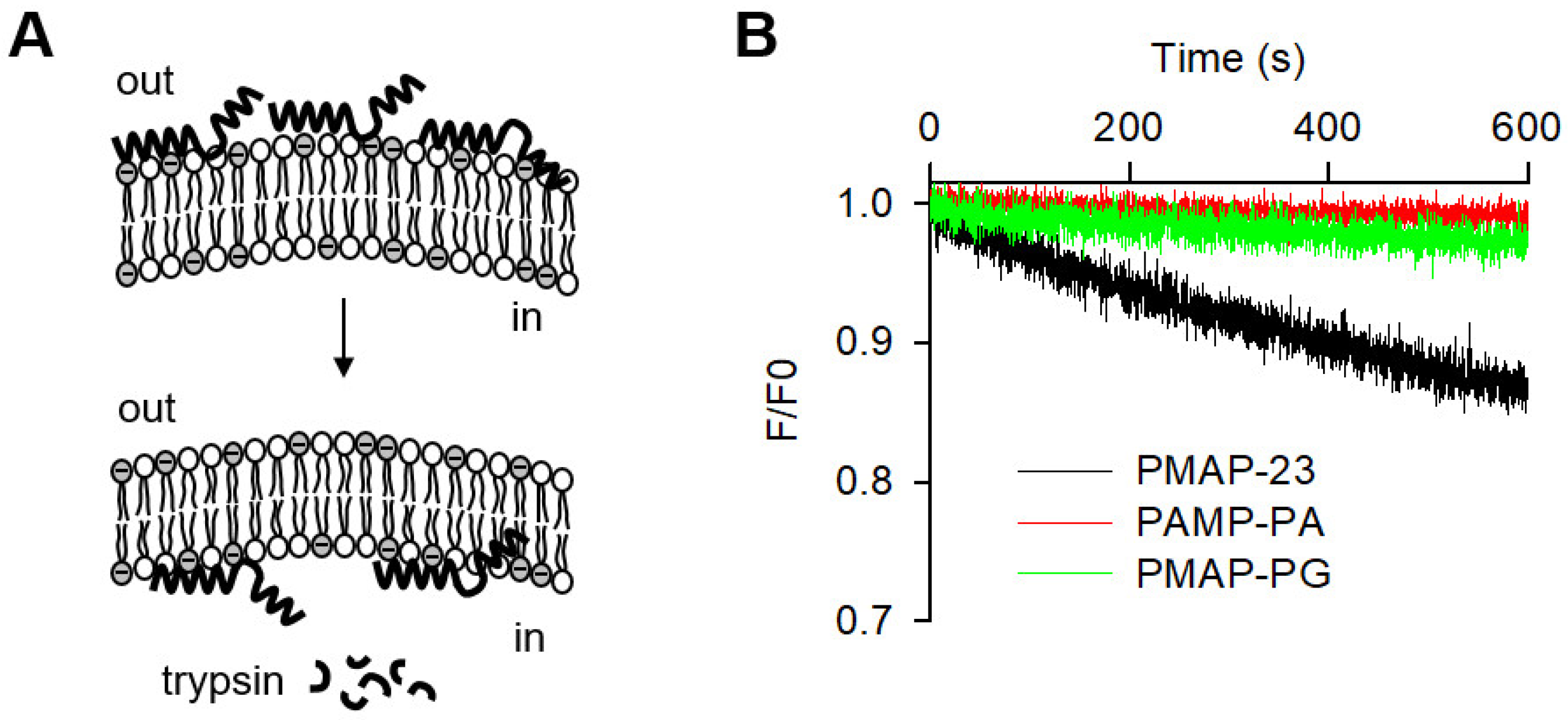 Ijms 22 09752 g004 550