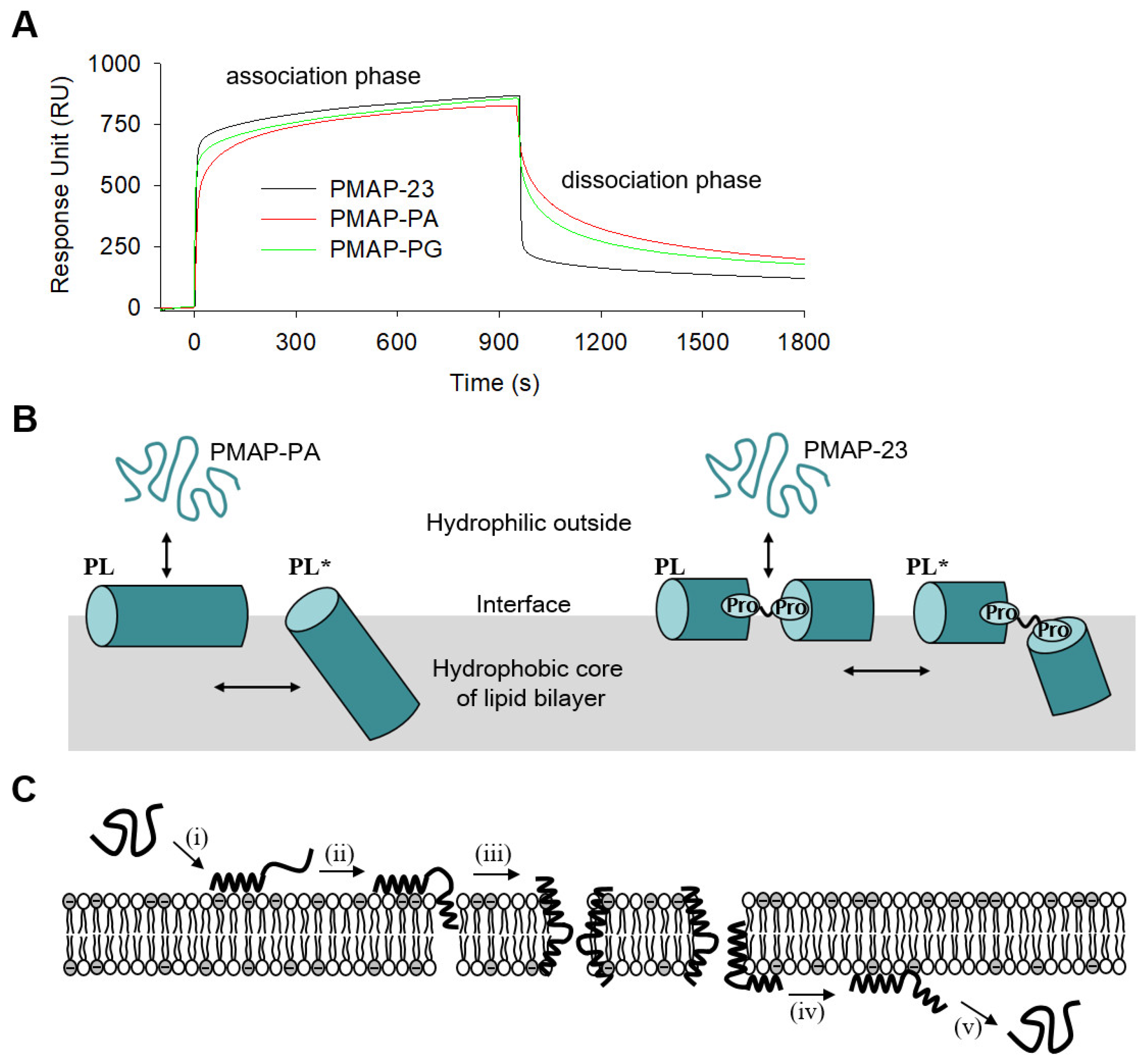 Ijms 22 09752 g005 550