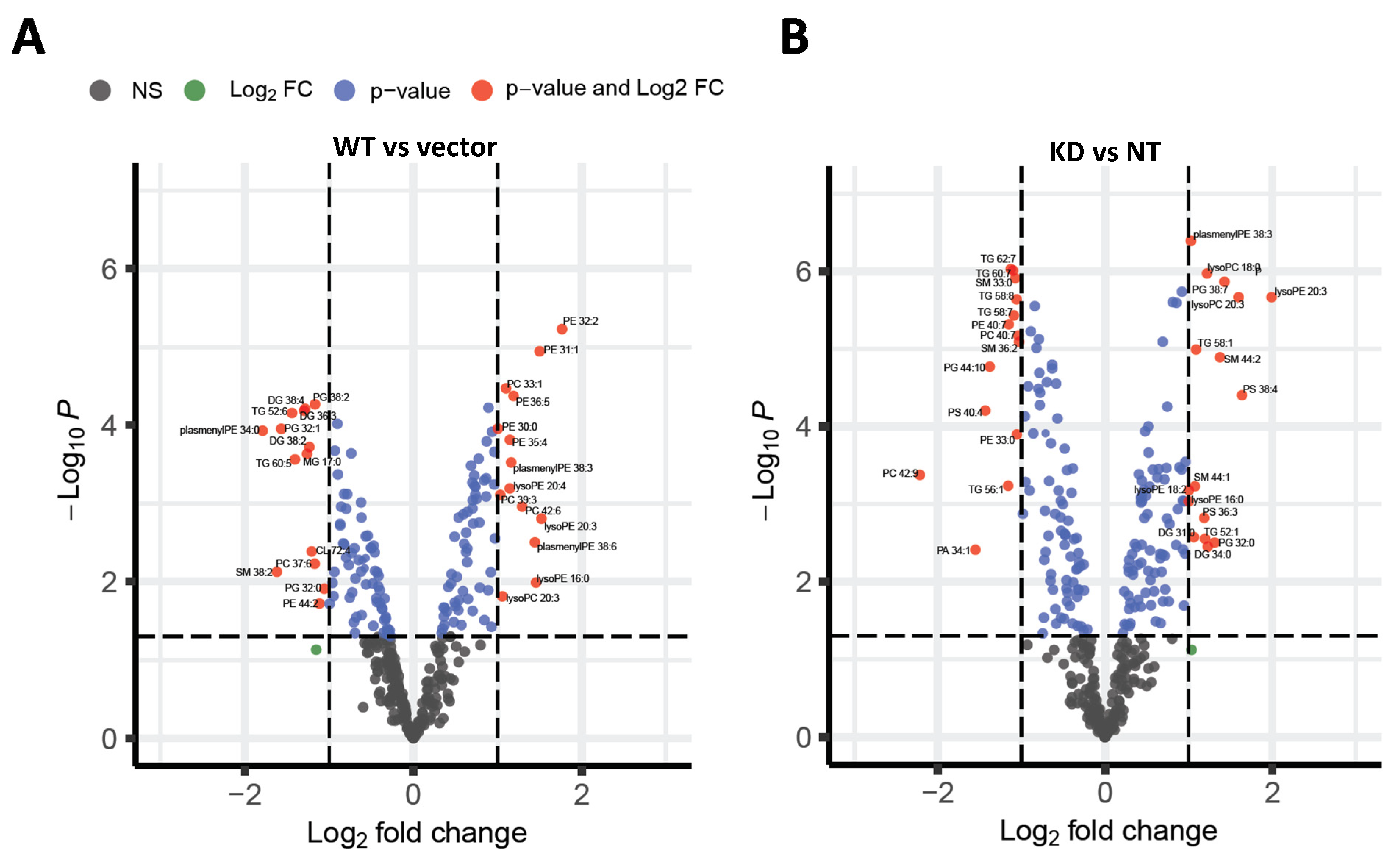 Ijms 22 09758 g002 550