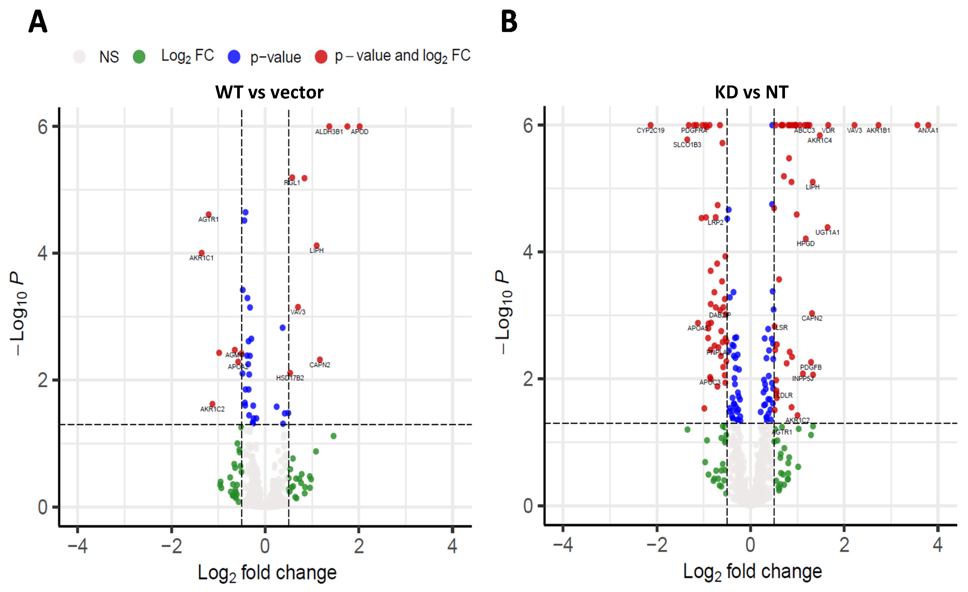 Ijms 22 09758 g004 550