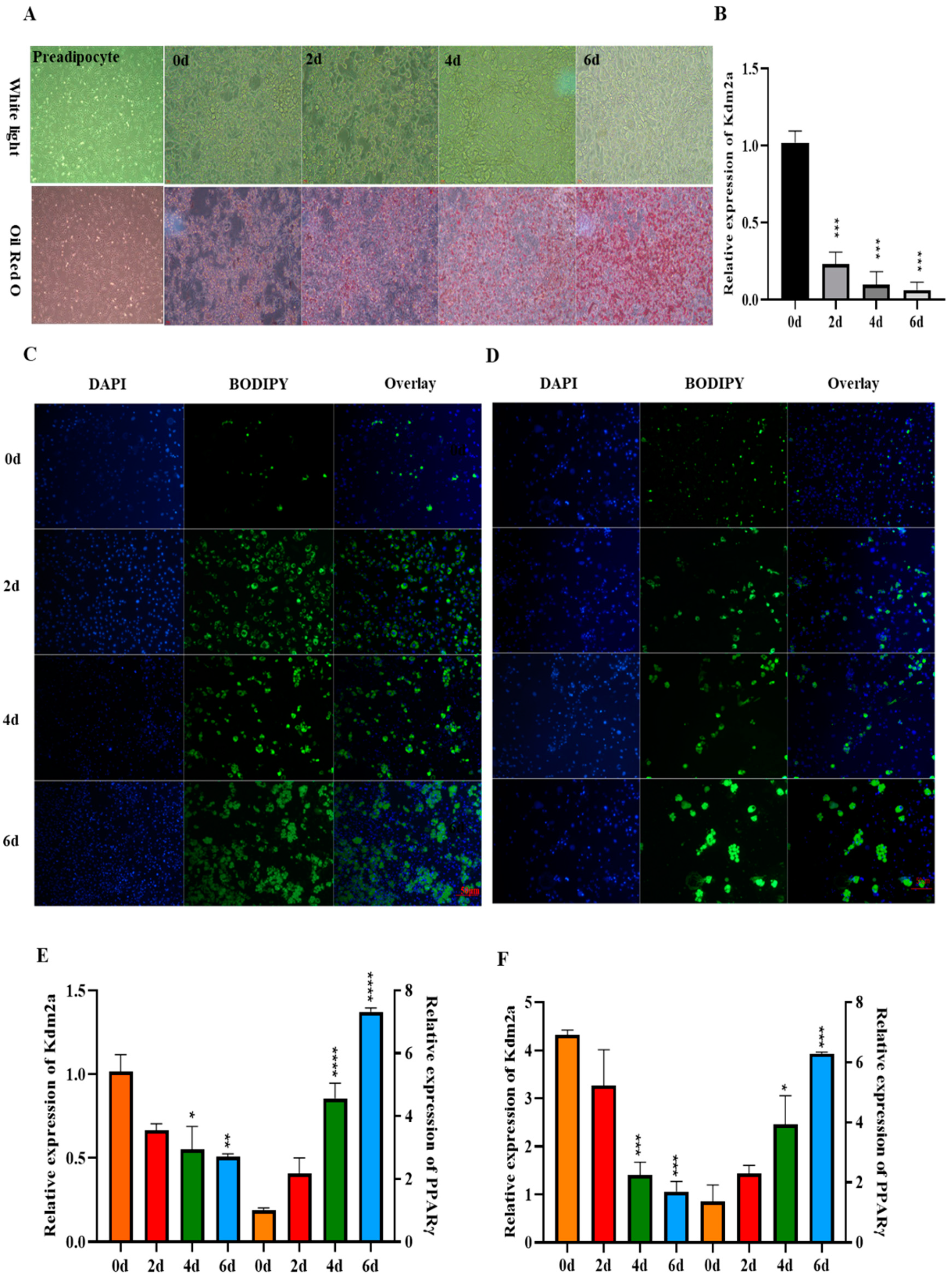 Ijms 22 09759 g002 550