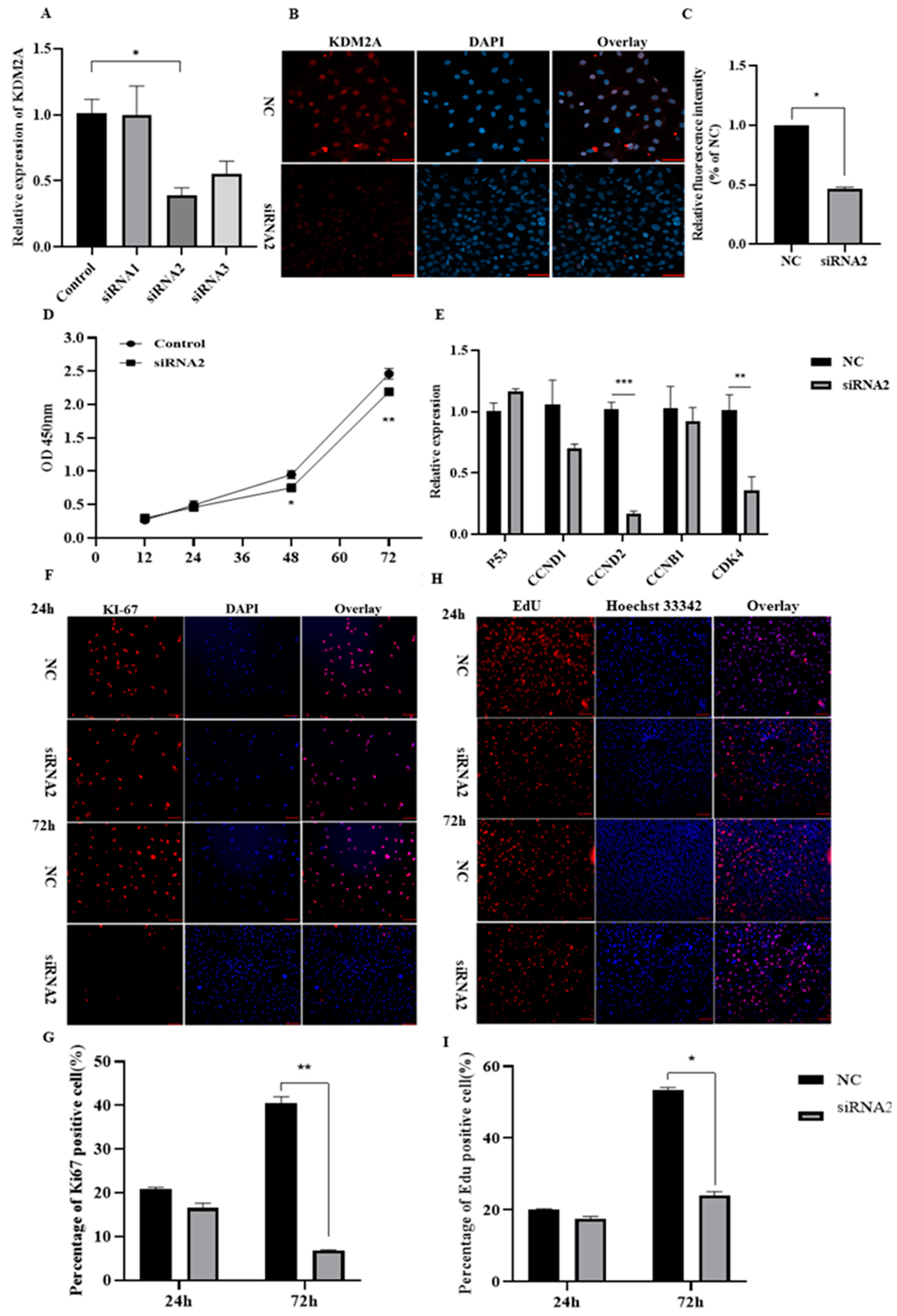 Ijms 22 09759 g004 550