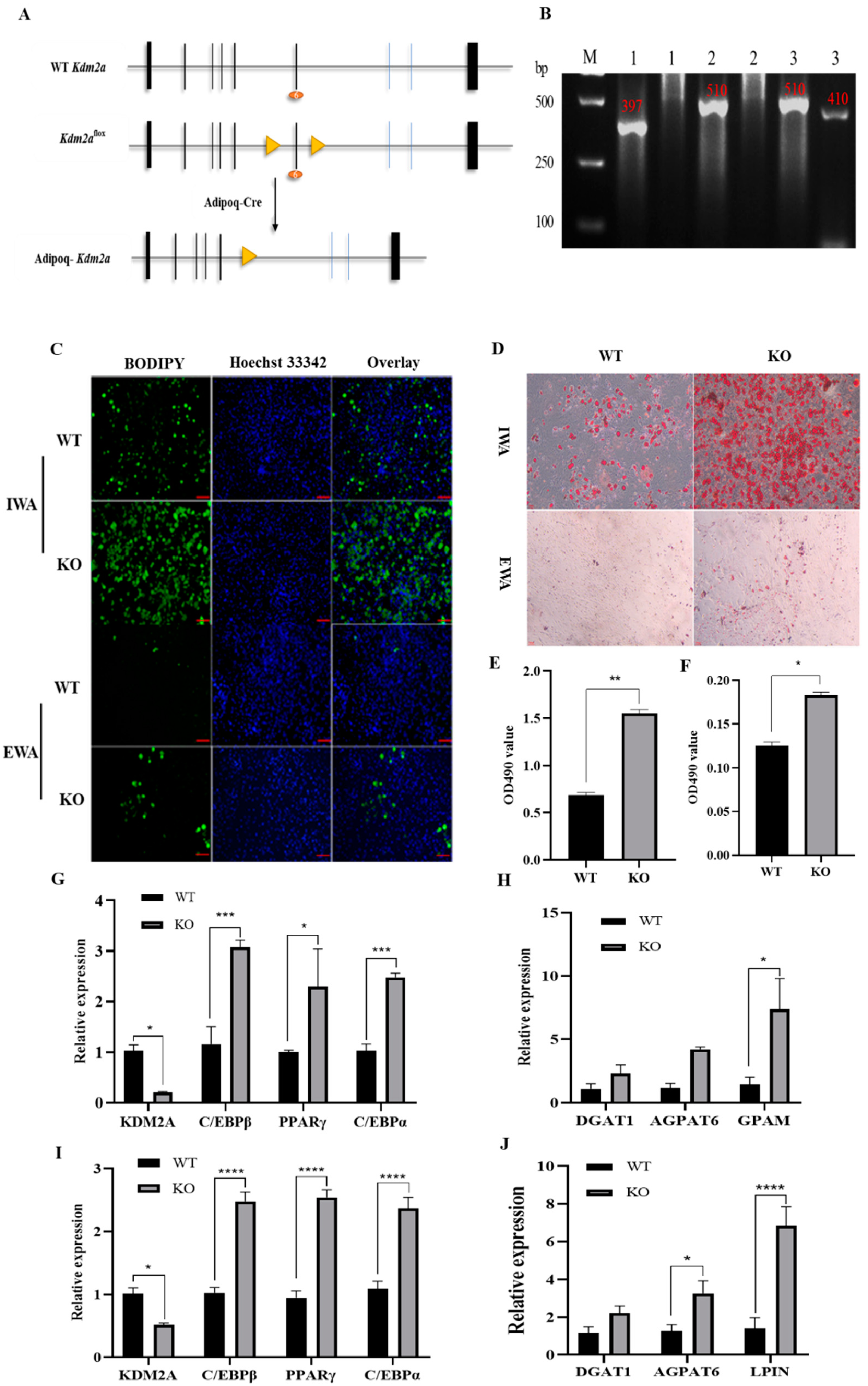 Ijms 22 09759 g006 550