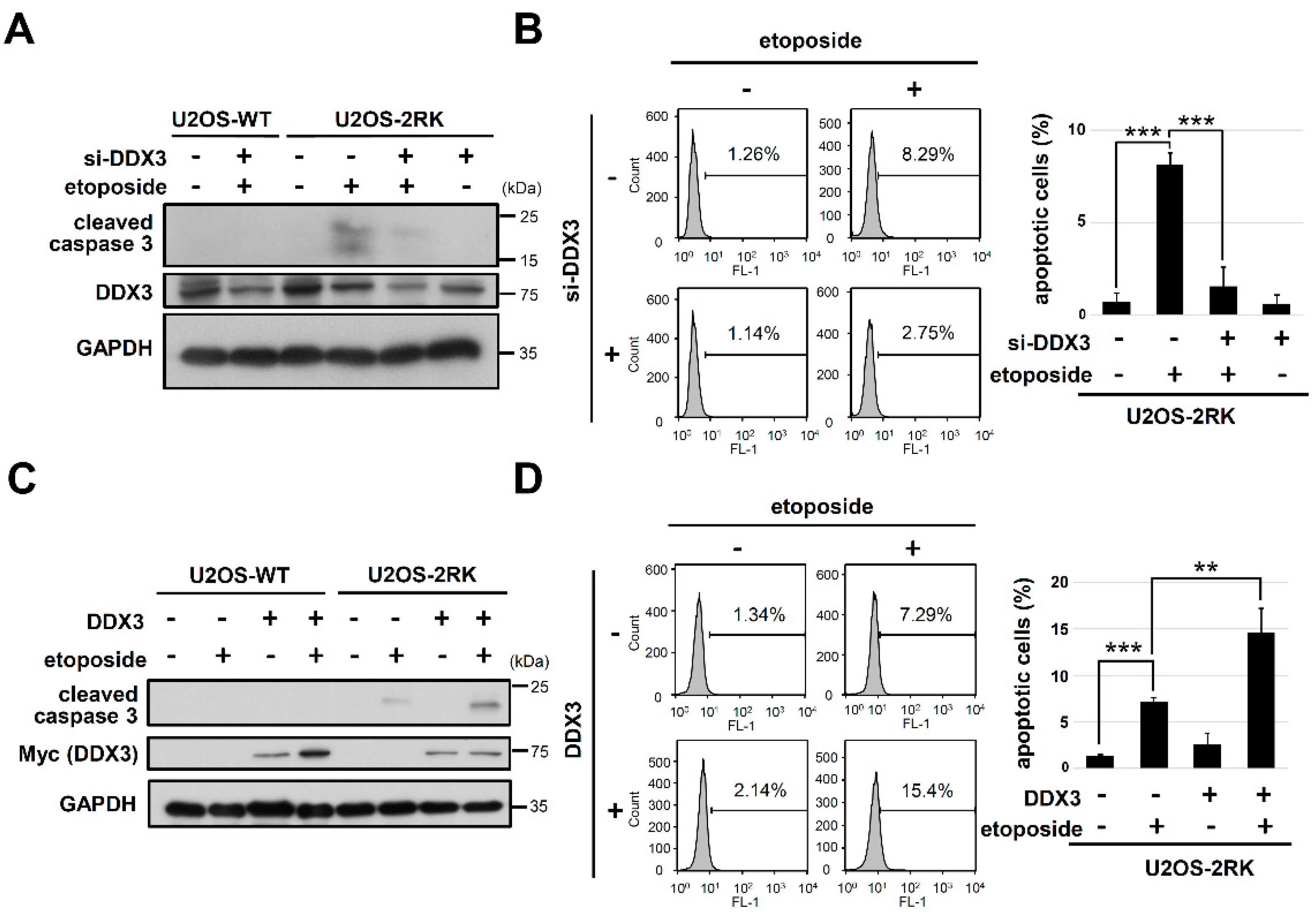 Ijms 22 09764 g002 Ijms 22 09764 g002