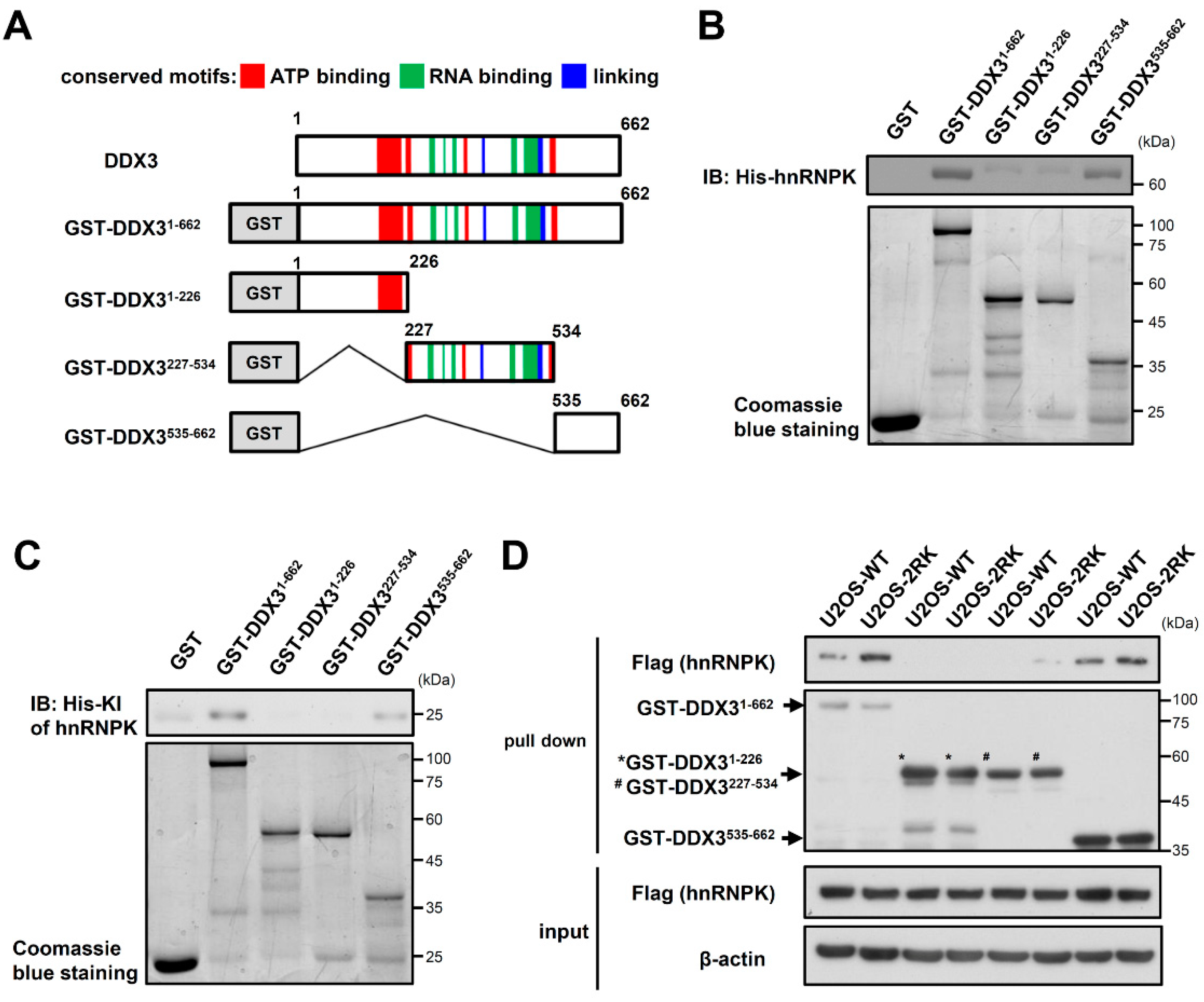 Ijms 22 09764 g003 Ijms 22 09764 g003