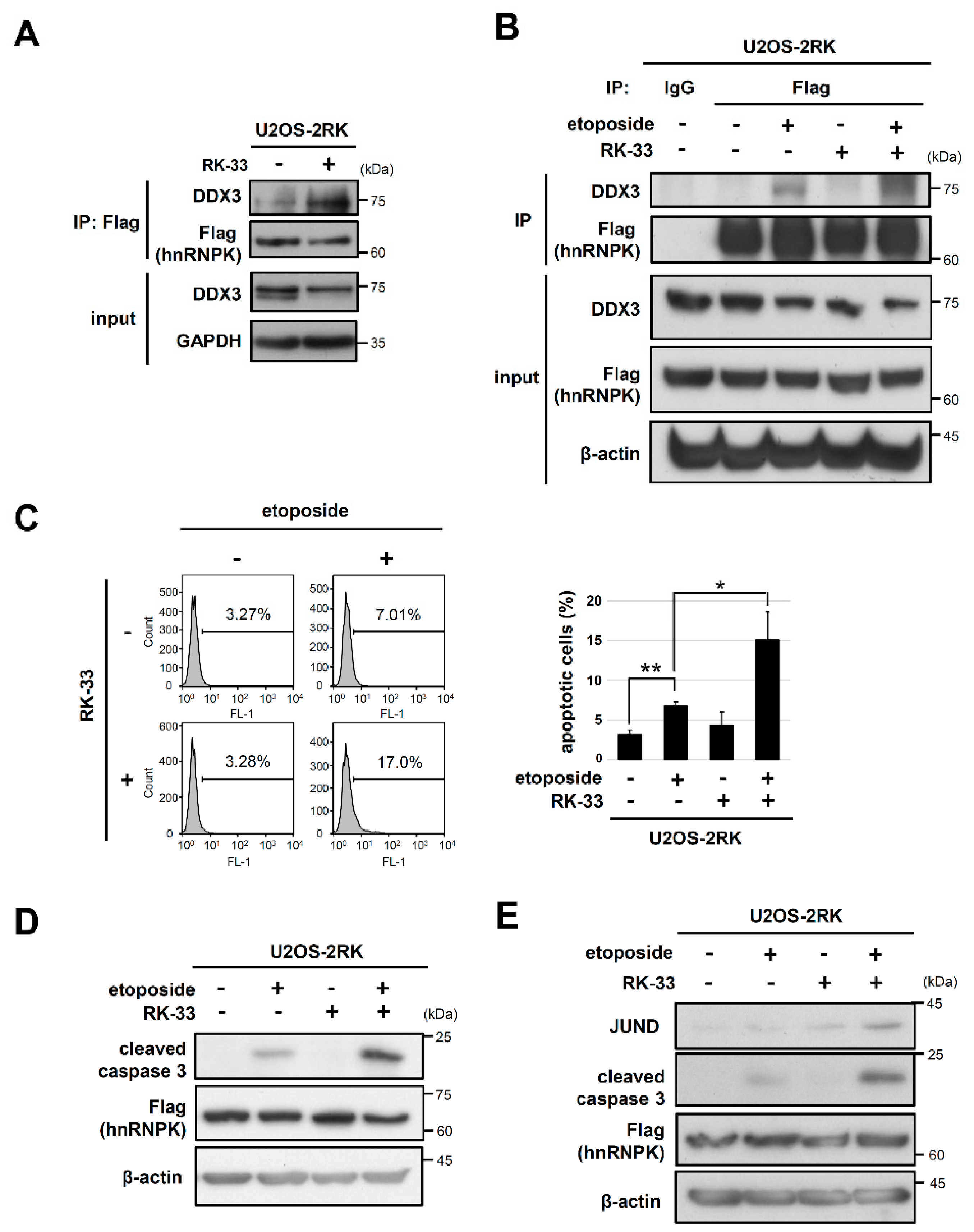 Ijms 22 09764 g006 Ijms 22 09764 g006