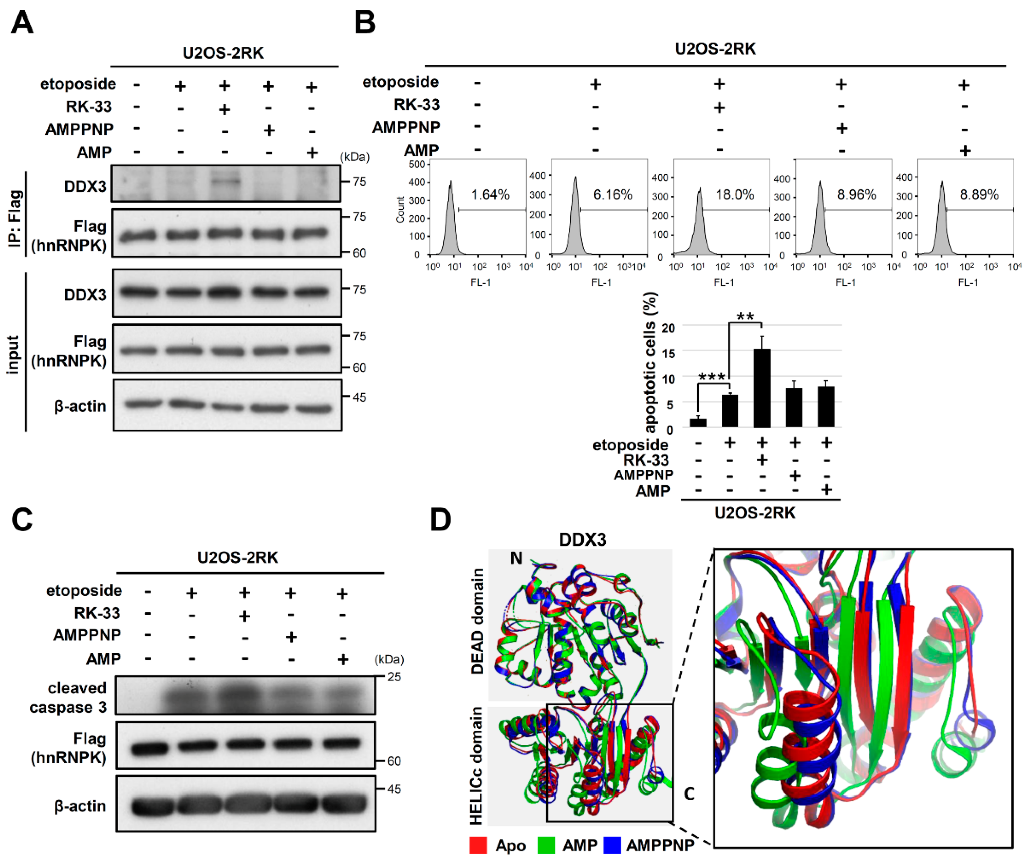 Ijms 22 09764 g007 Ijms 22 09764 g007