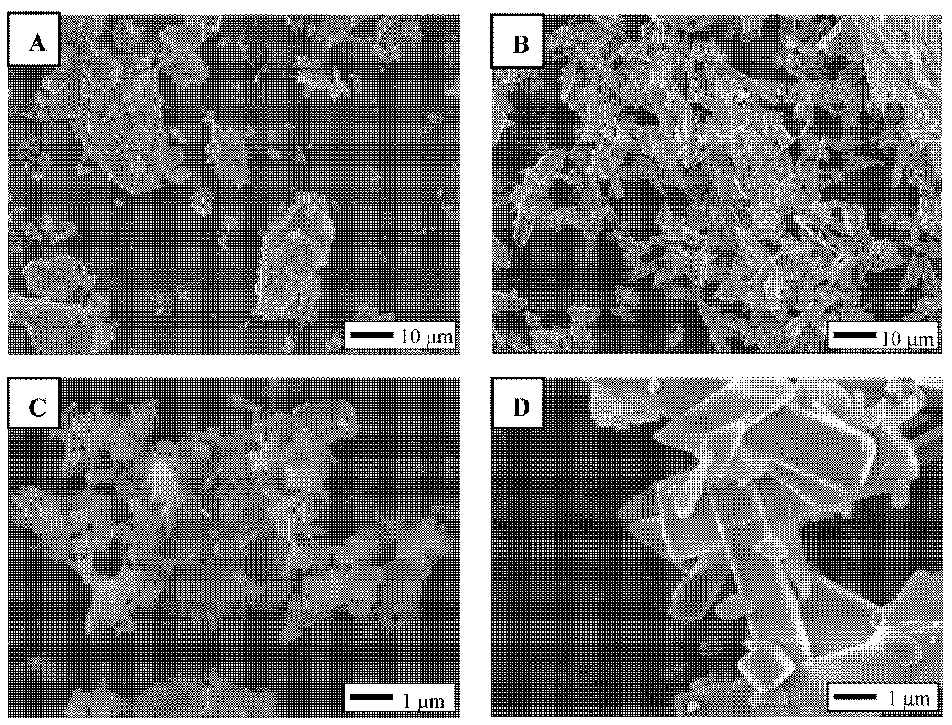 Ijms 22 09770 g001 550