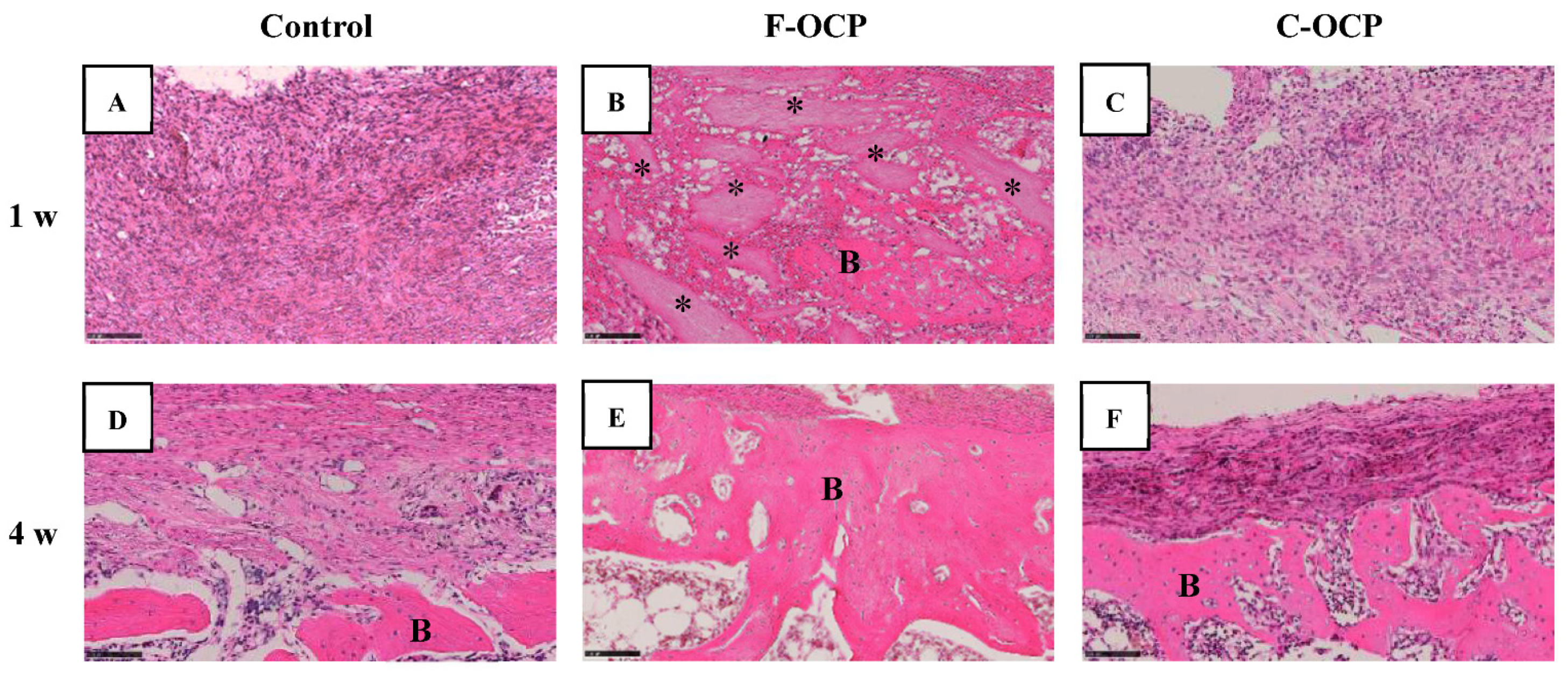 Ijms 22 09770 g008 550