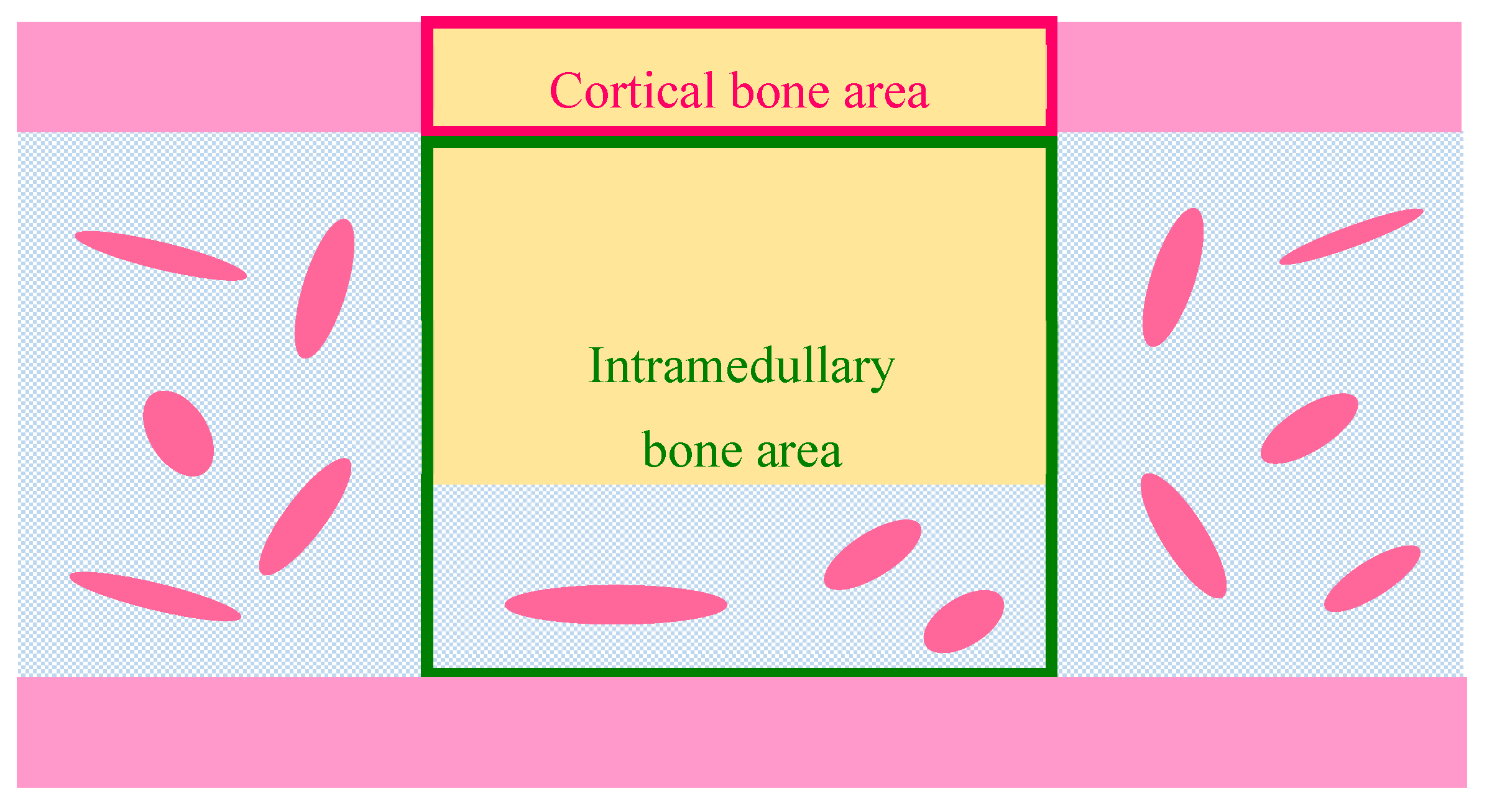 Ijms 22 09770 g012 550