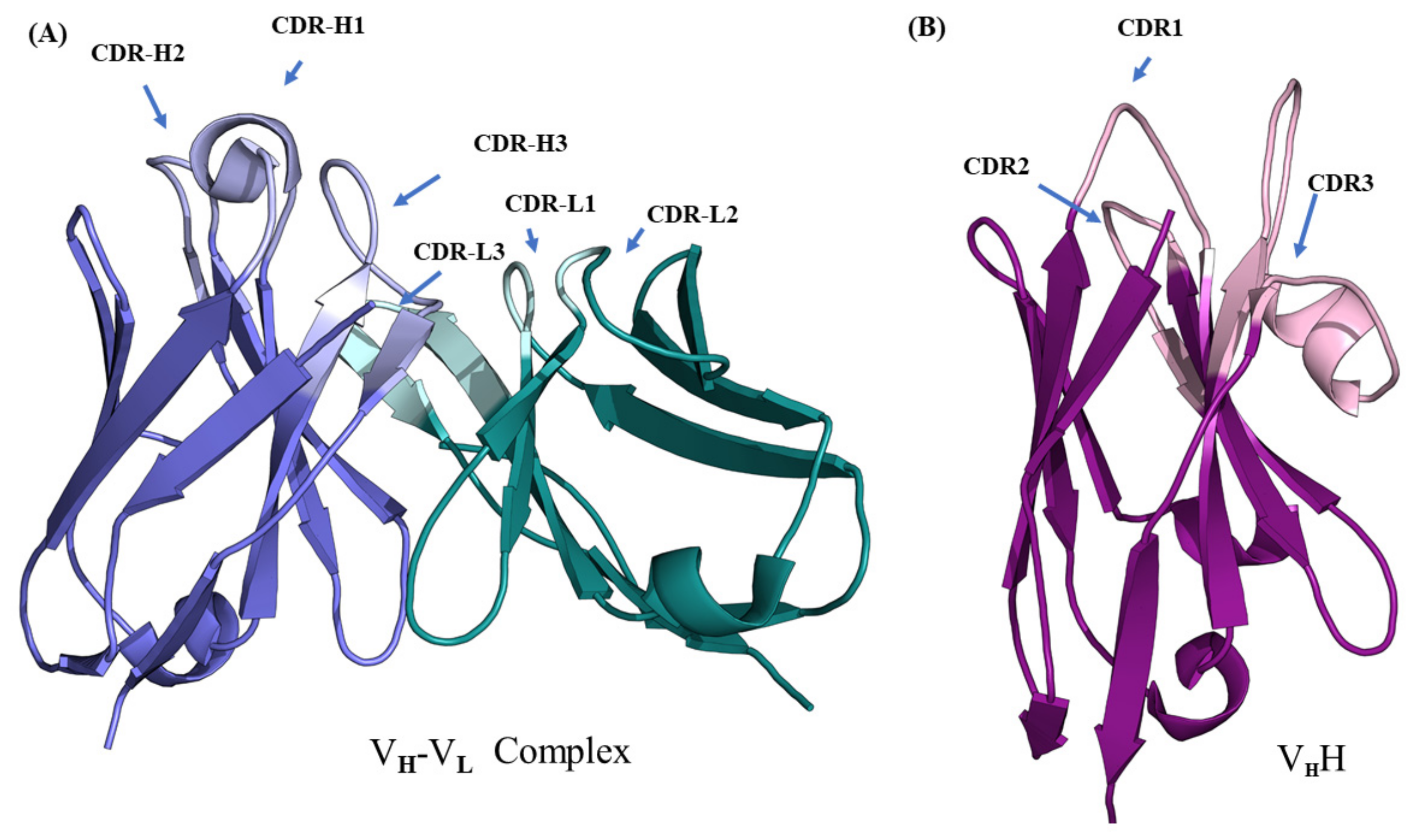 Ijms 22 09771 g001 550