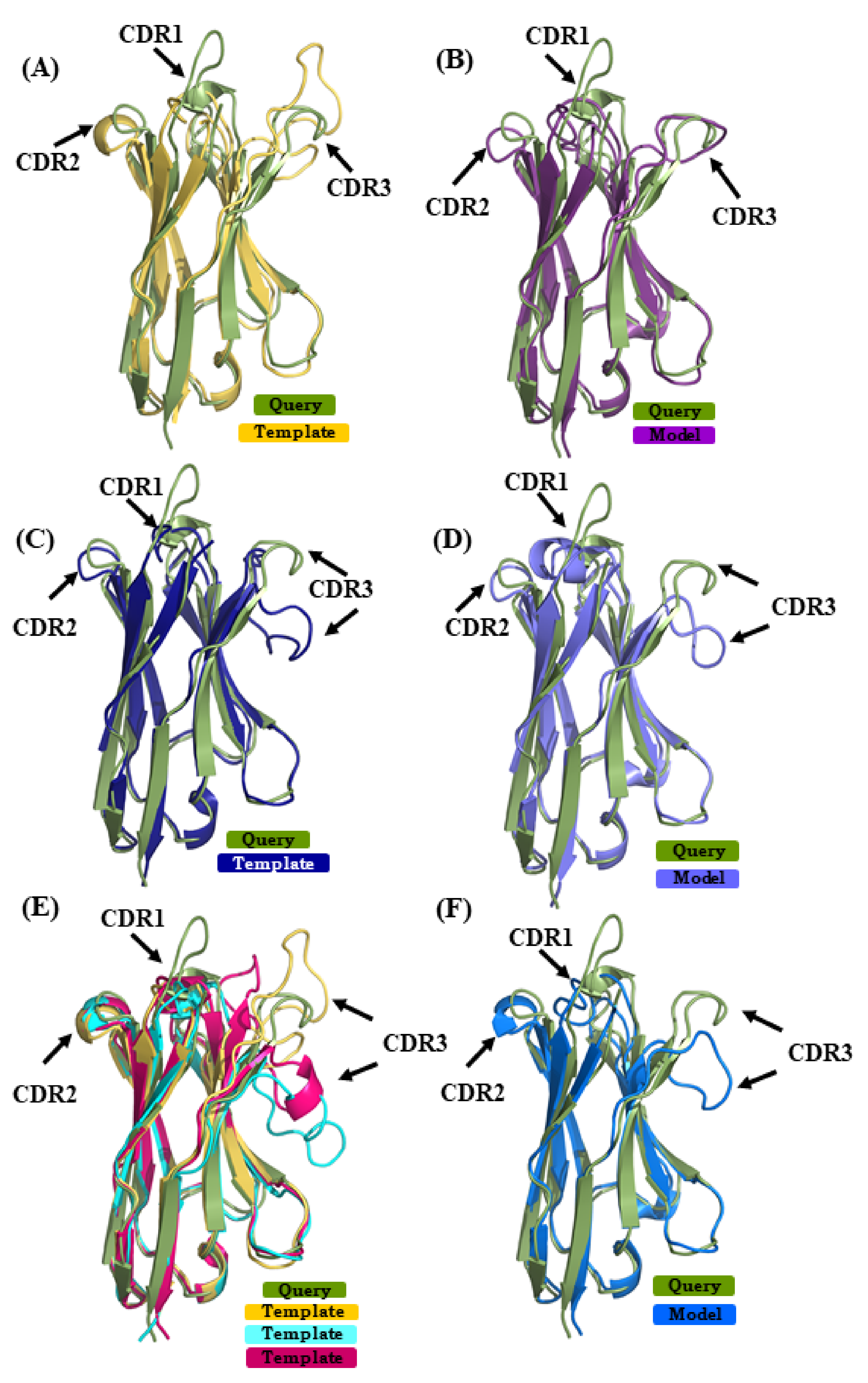 Ijms 22 09771 g006 550