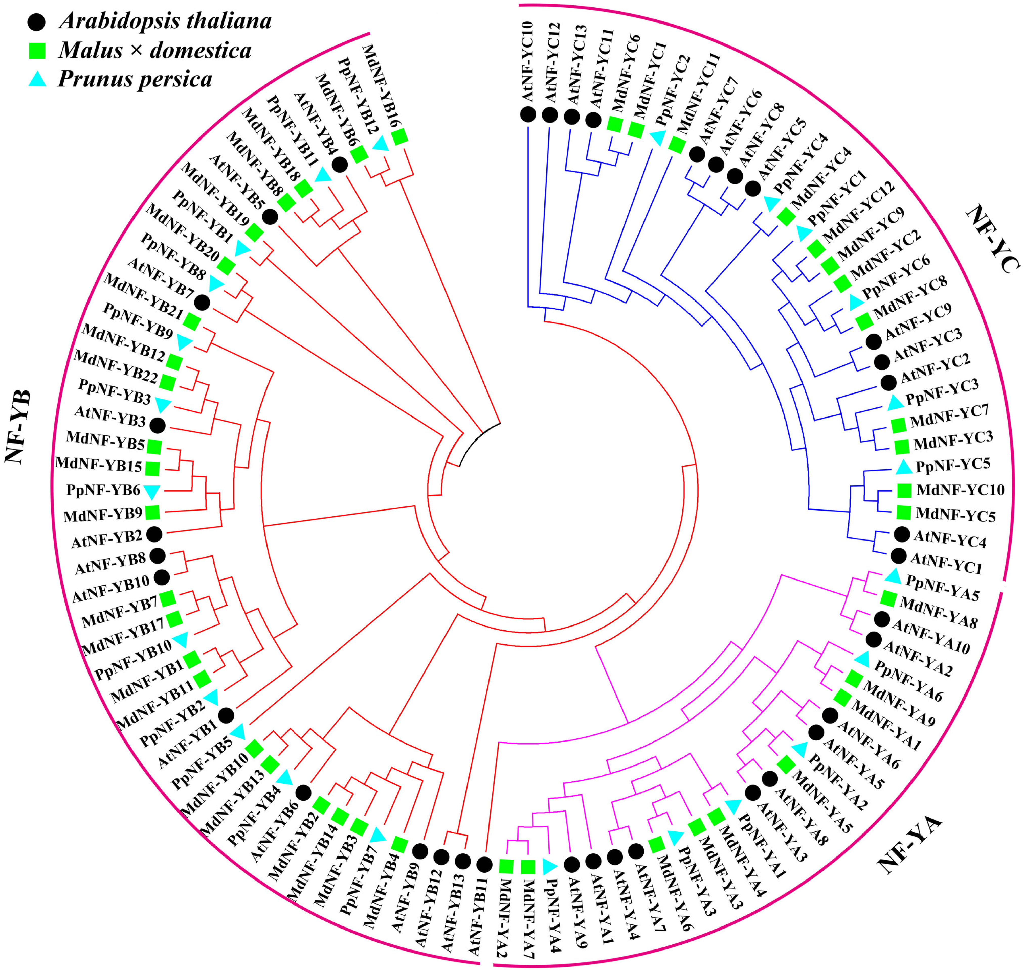 Ijms 22 09777 g001 550