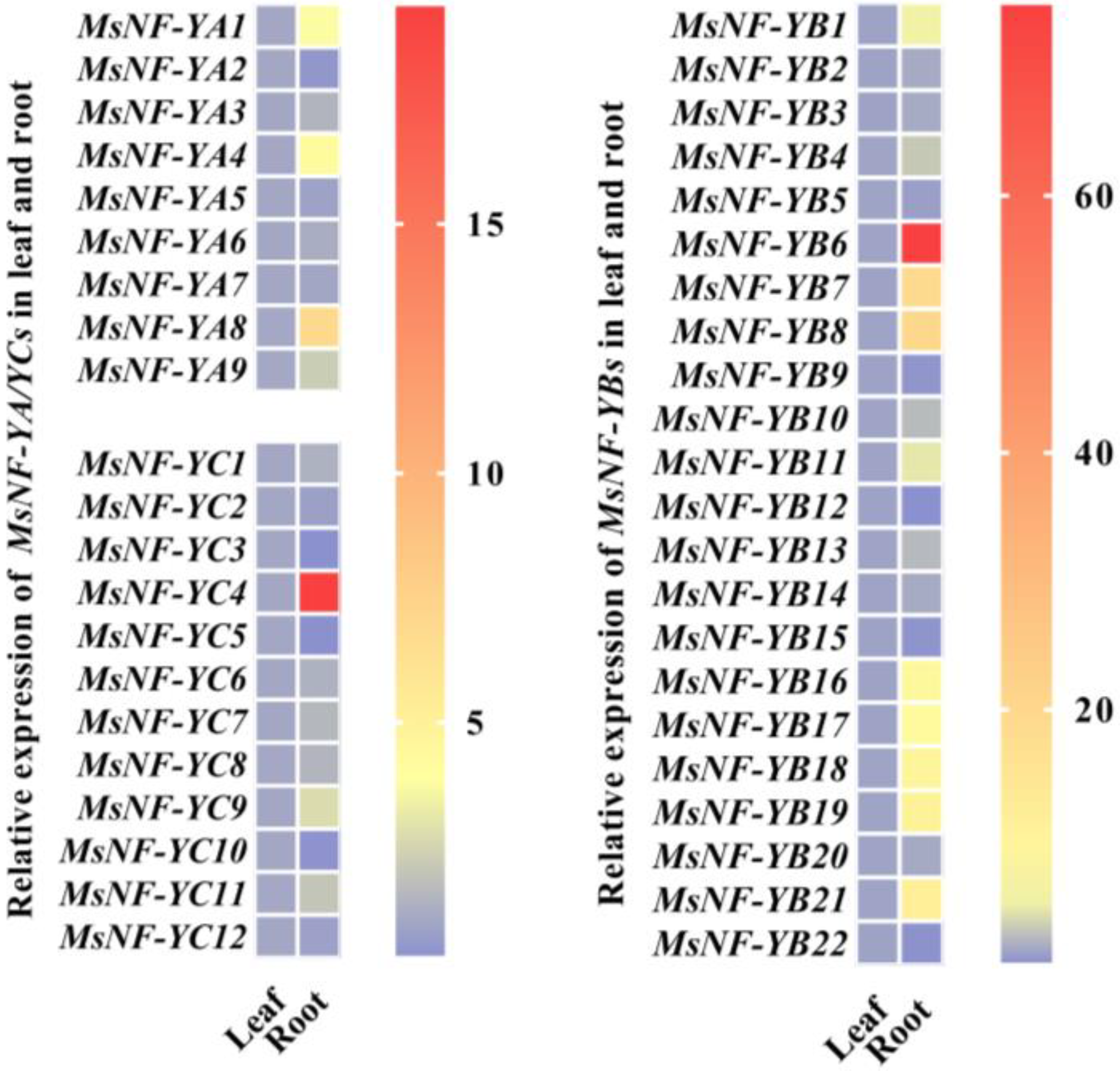 Ijms 22 09777 g002 550