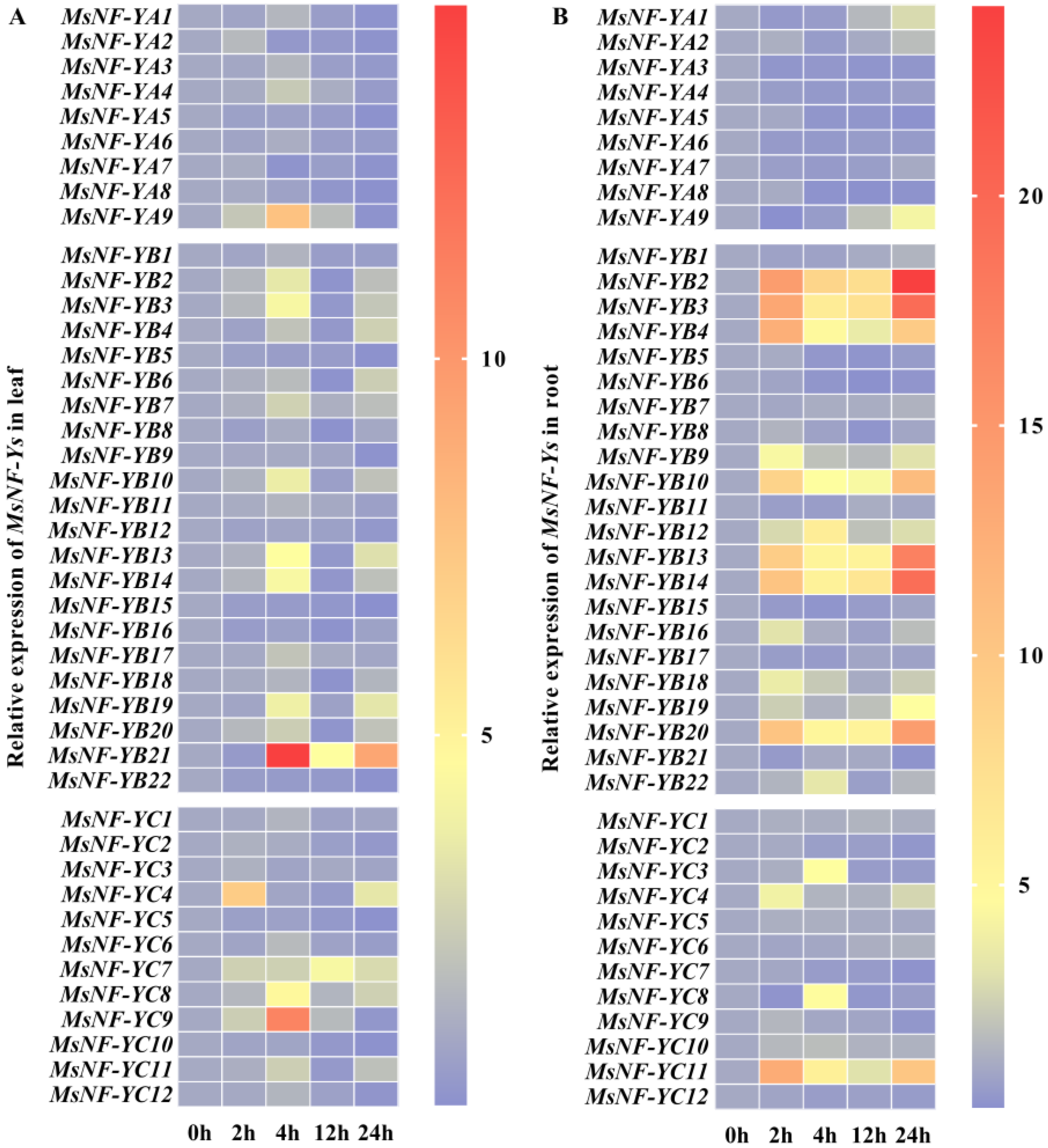 Ijms 22 09777 g003 550