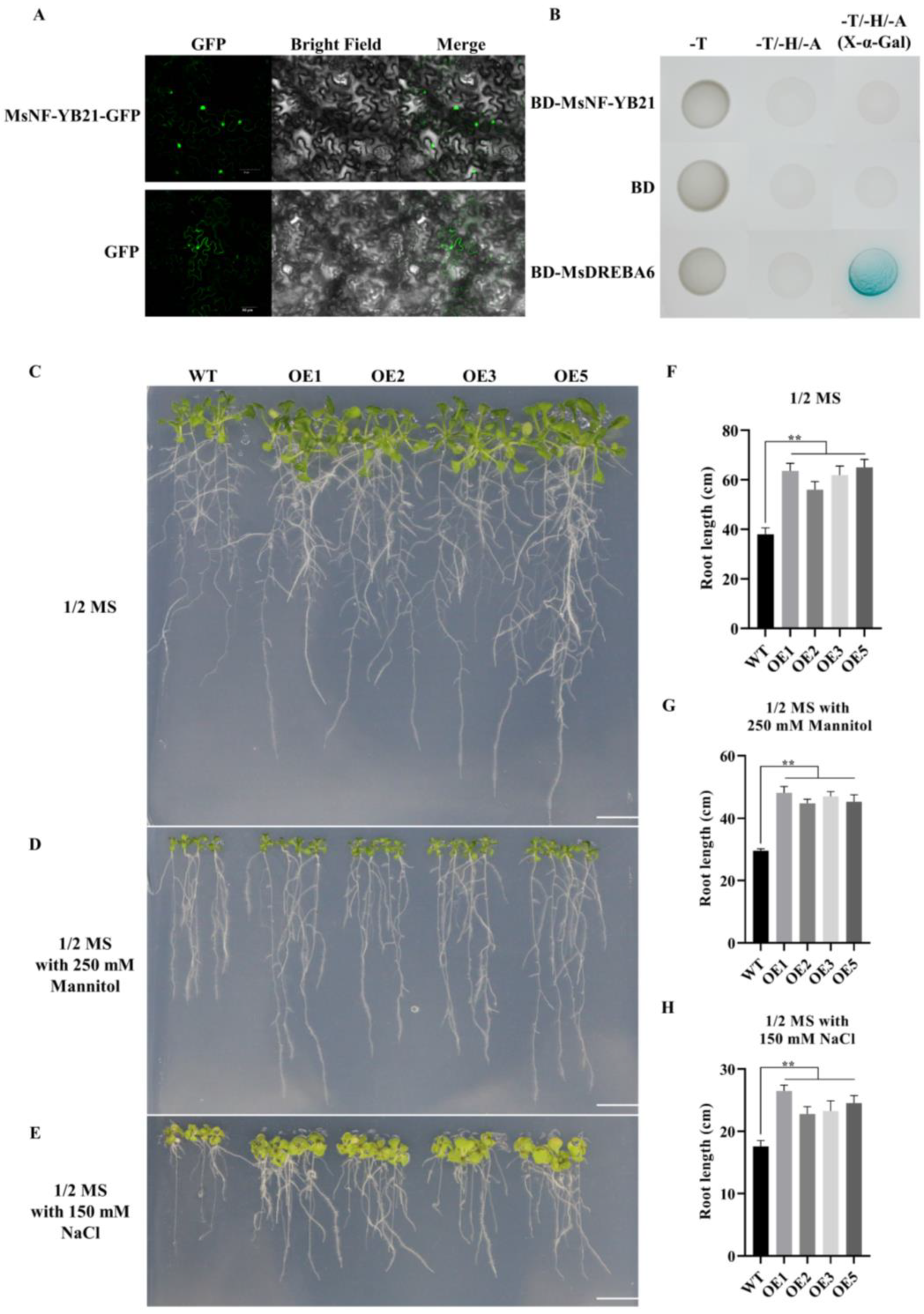 Ijms 22 09777 g004 550