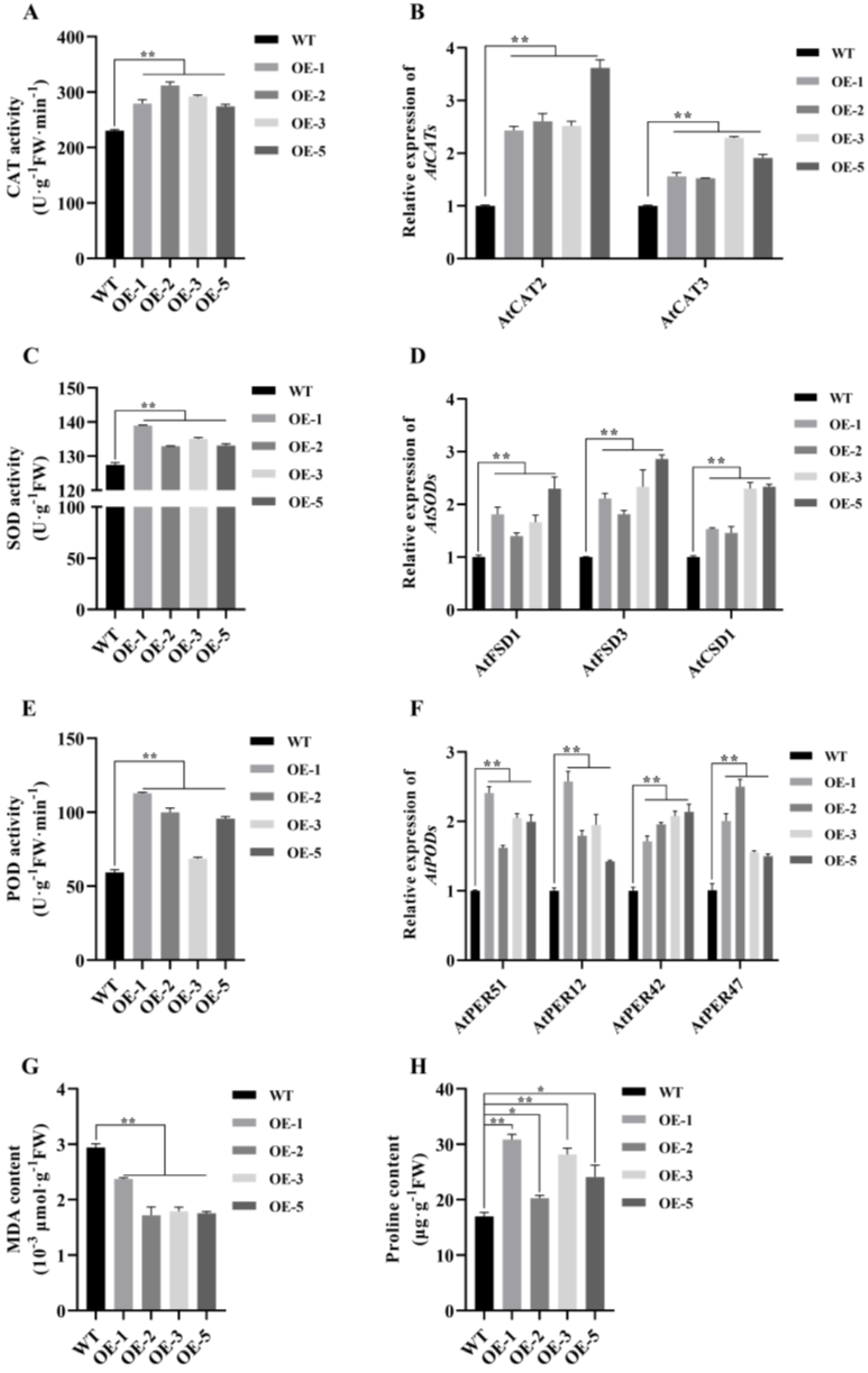 Ijms 22 09777 g005 550