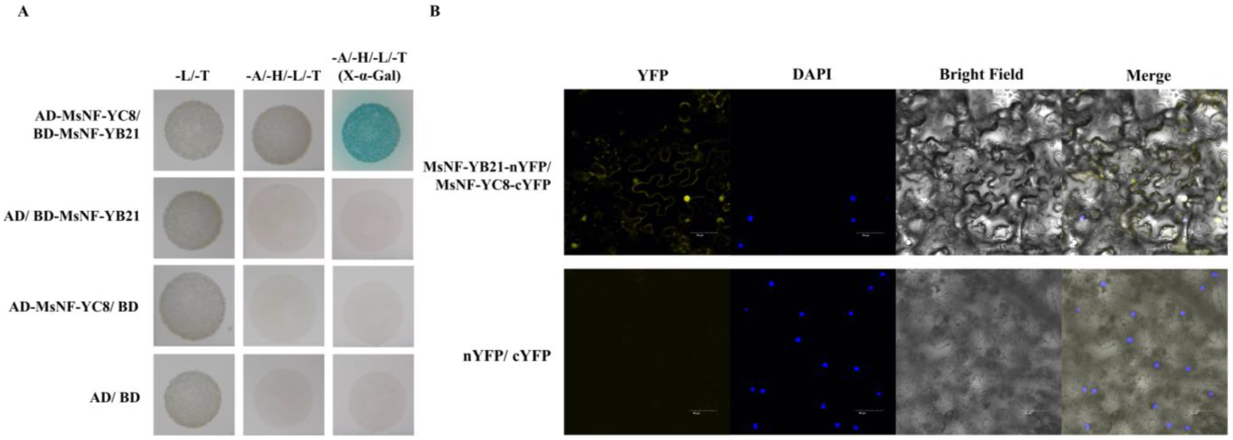 Ijms 22 09777 g007 550