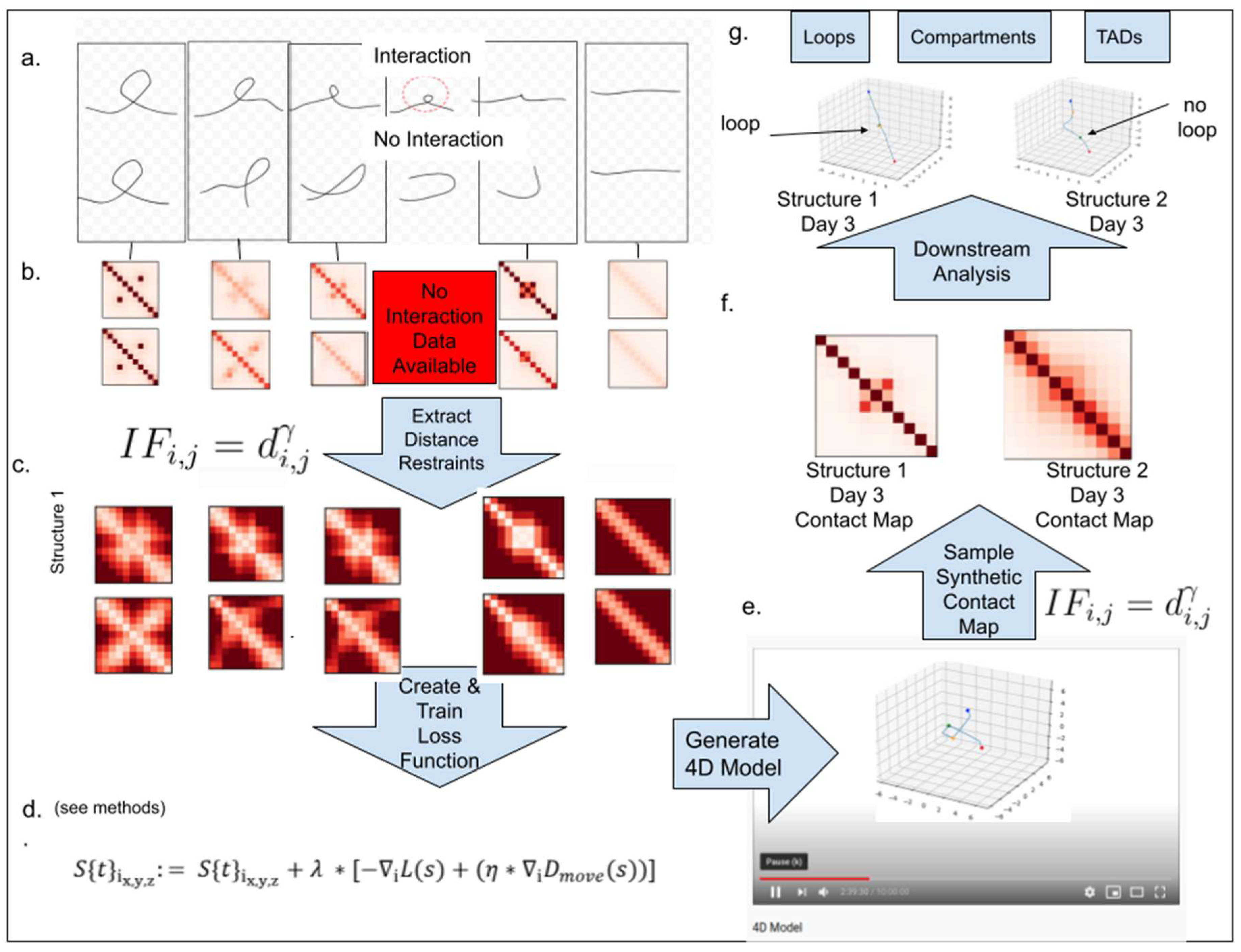 CYHMページ Four-Dimensional Chromosome Structure Prediction