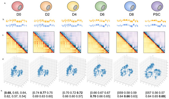 CYHMページ Four-Dimensional Chromosome Structure Prediction