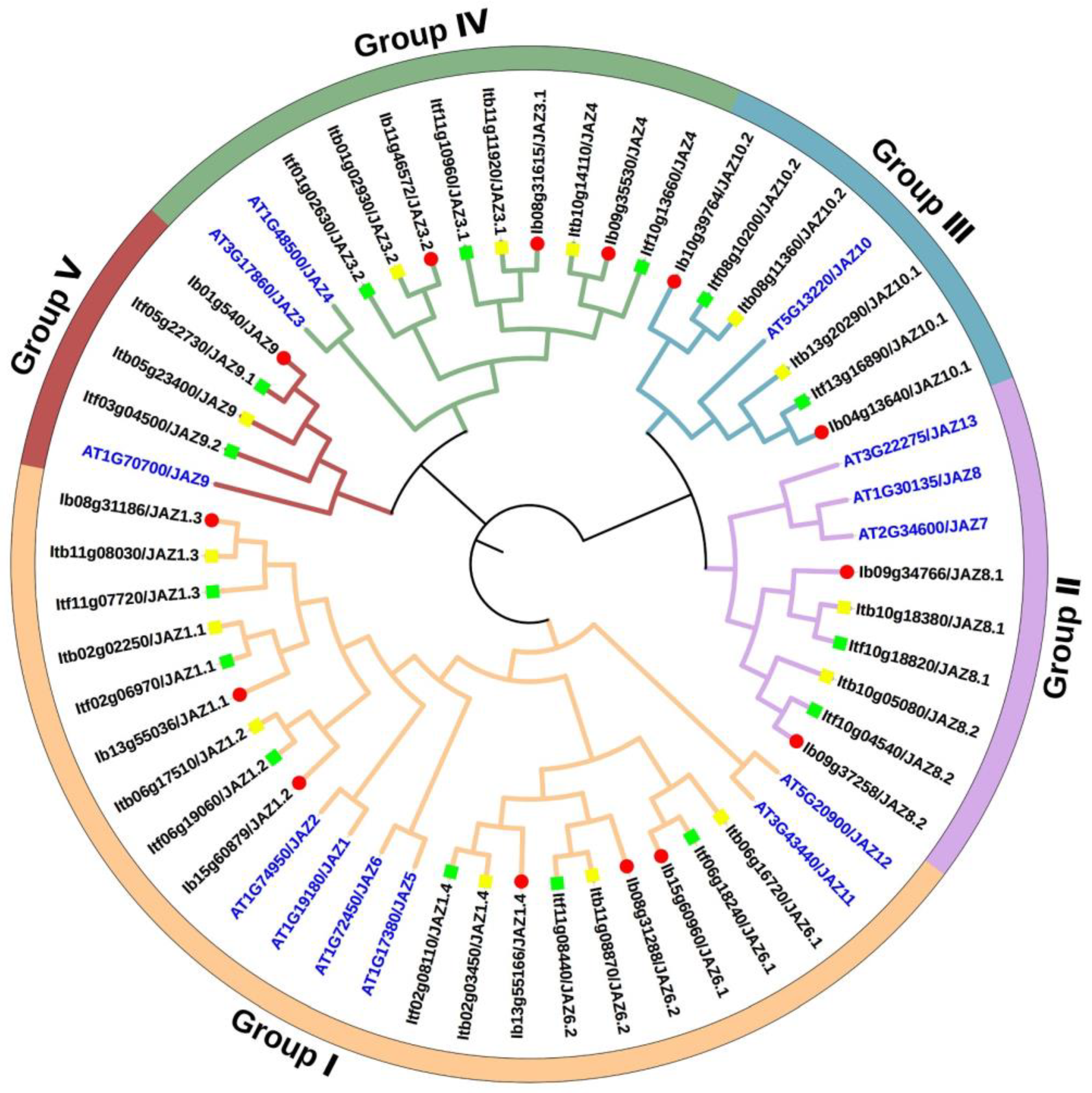 Ijms 22 09786 g002 550