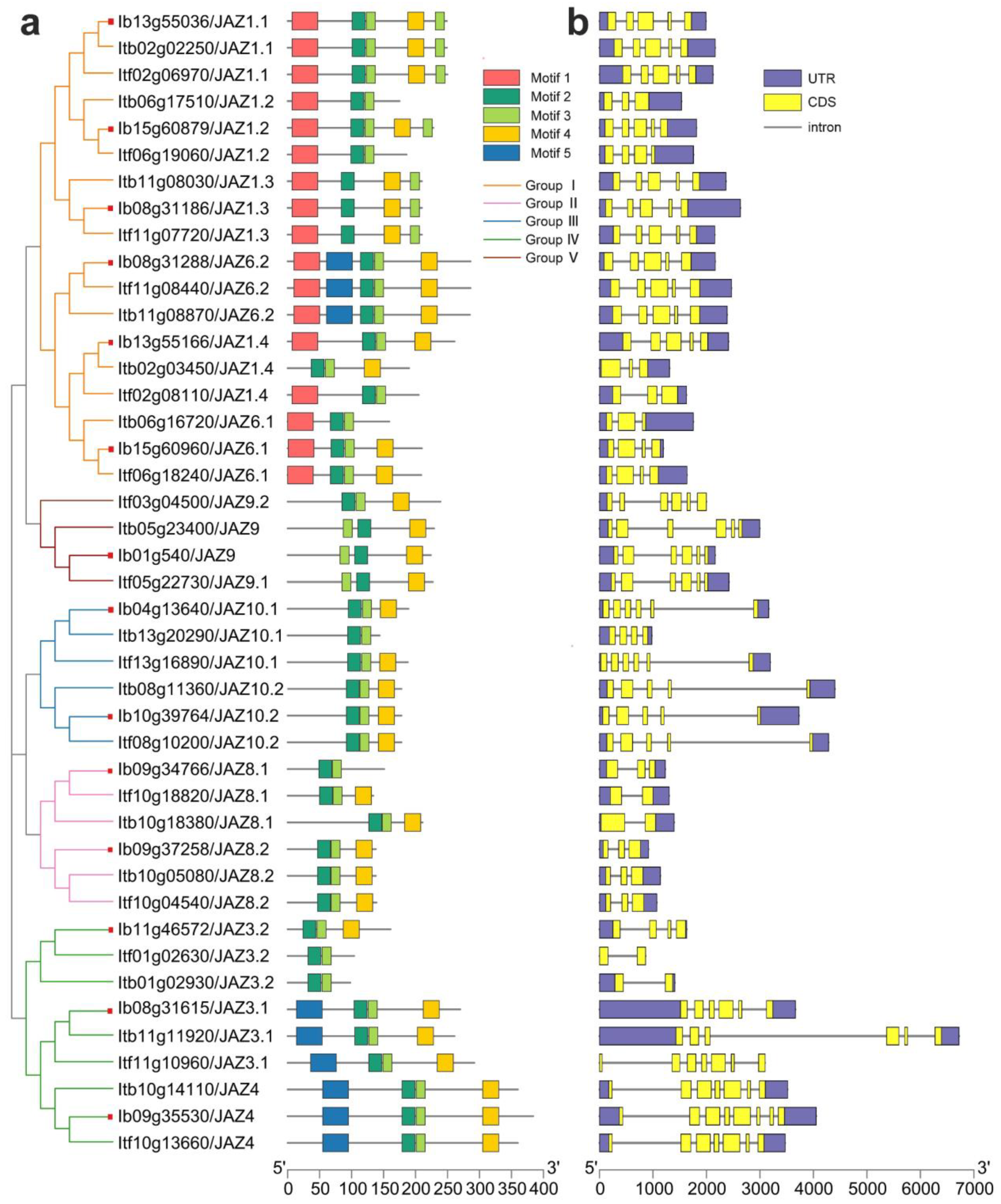 Ijms 22 09786 g003 550