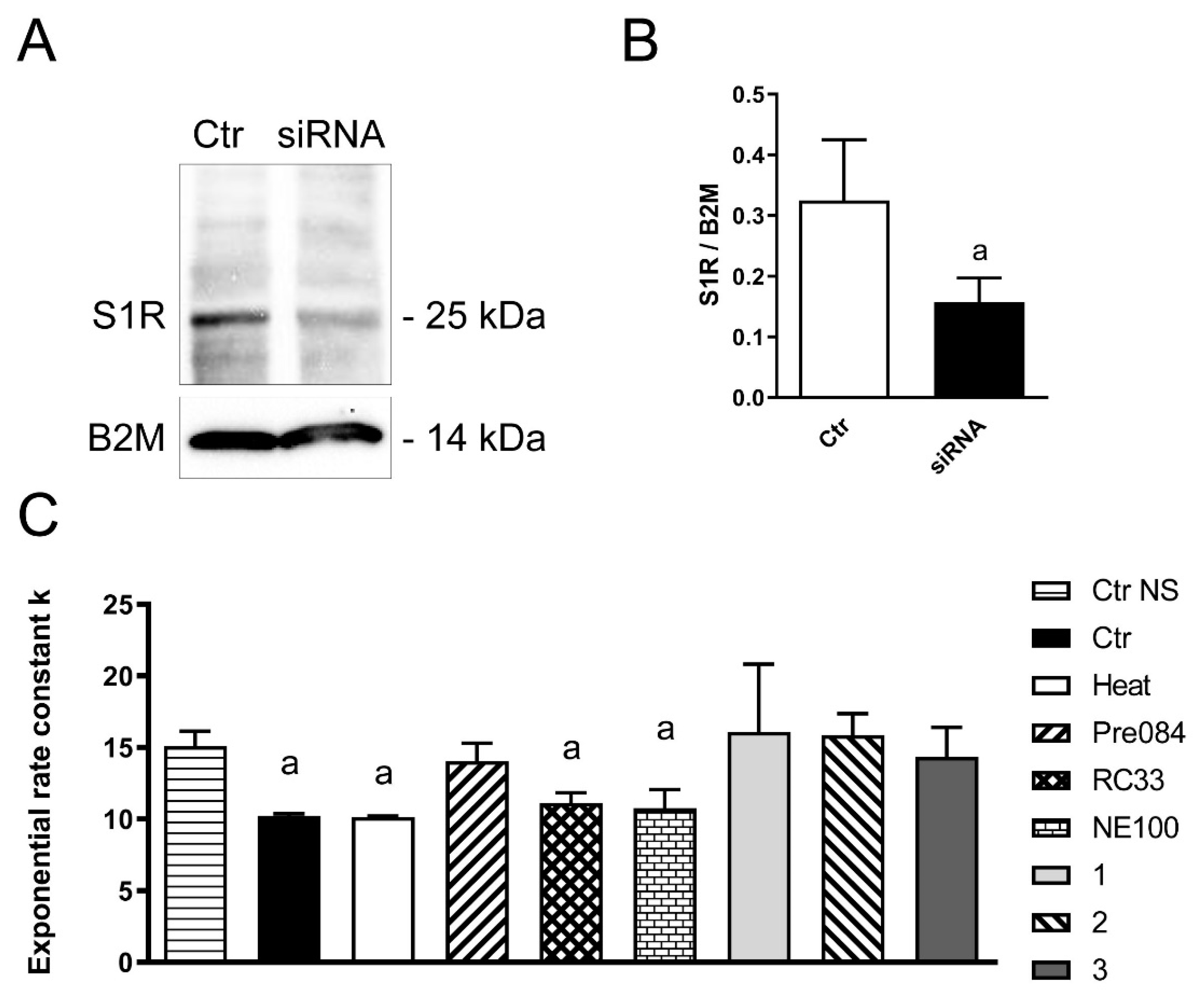 Ijms 22 09790 g007 550