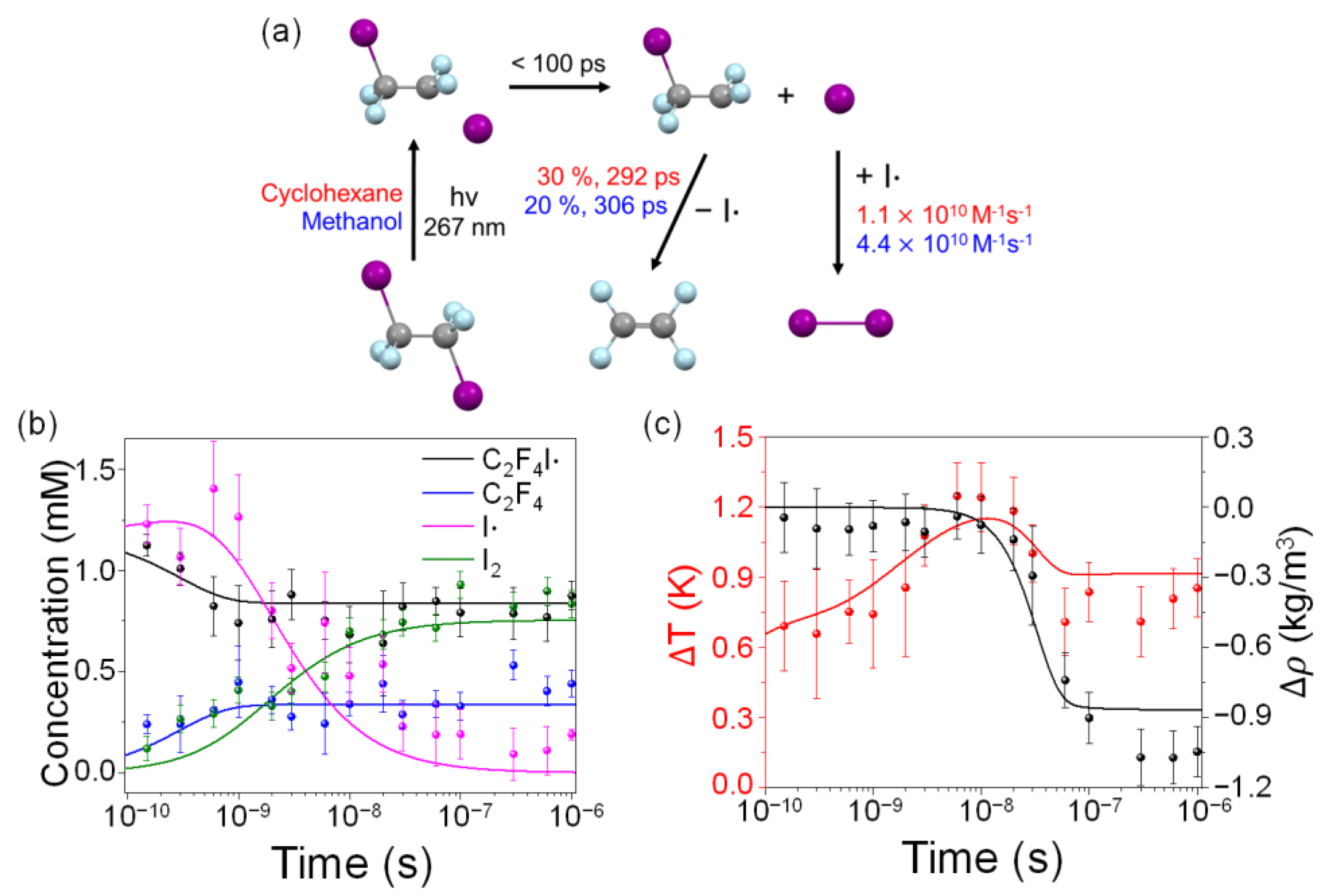 Ijms 22 09793 g004 Ijms 22 09793 g004