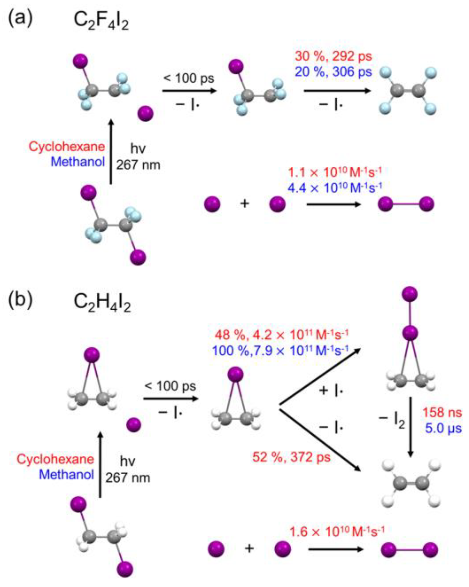 Ijms 22 09793 g006 Ijms 22 09793 g006