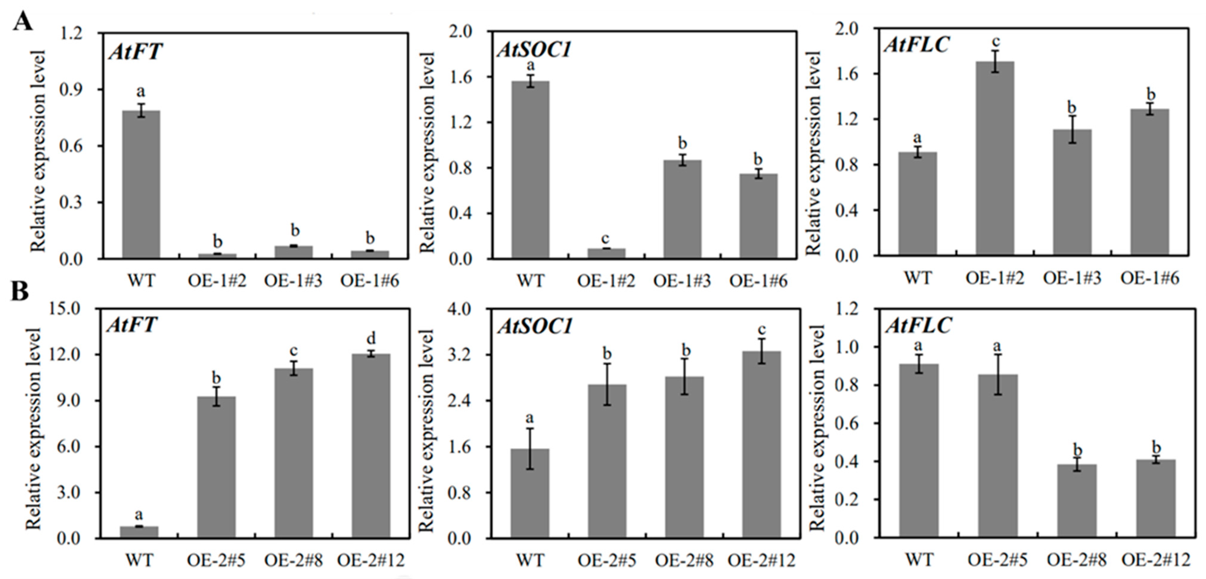 Ijms 22 09802 g006 550